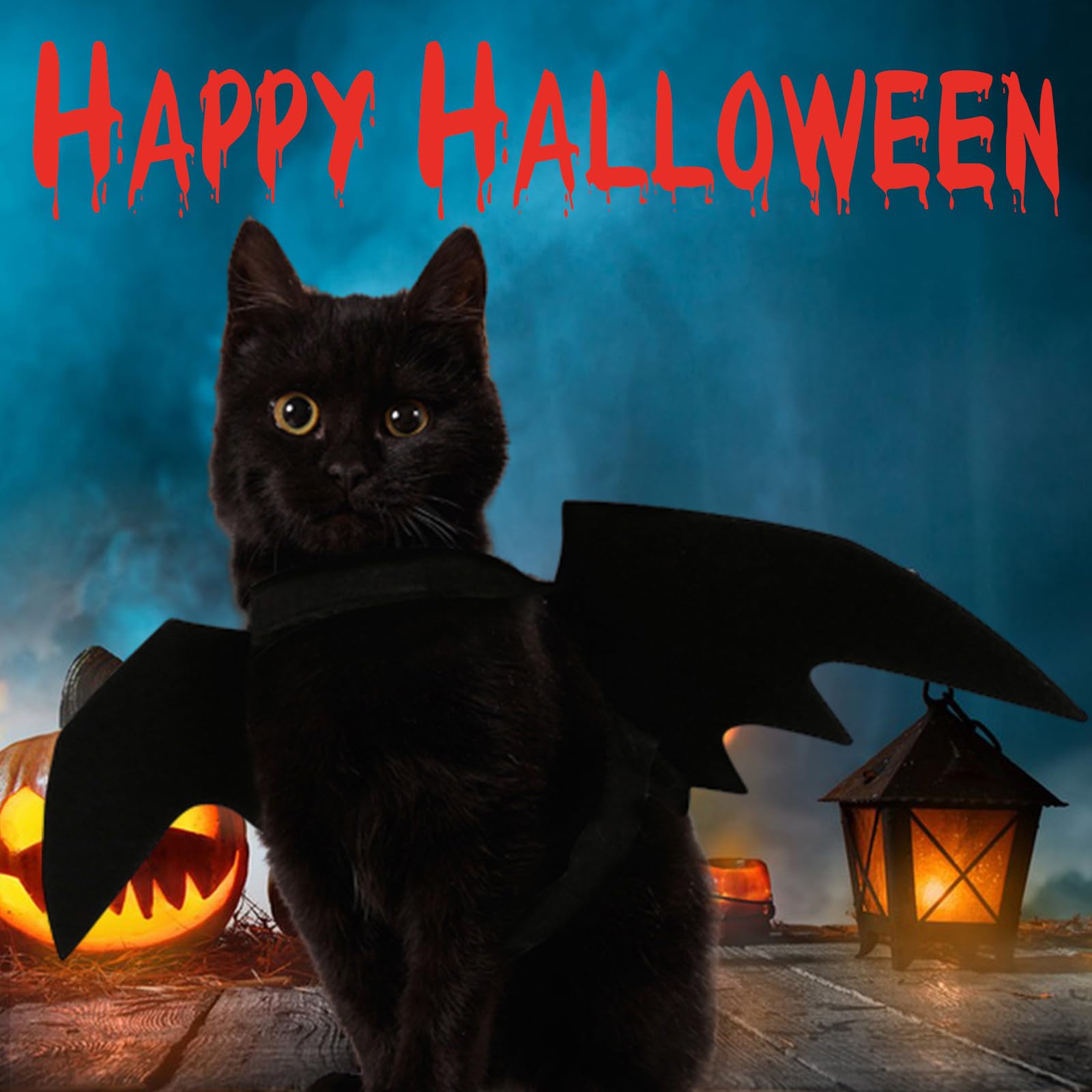 Halloween Pet Bat Wings Cat Dog Bat Costume, Cat Bat Wings Halloween Costume for Cats Small Dogs, Puppy Cosplay Bat Costume Cat
