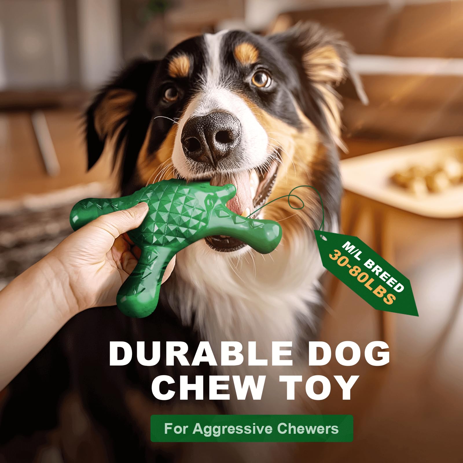 Quizvi Dog Toy - Tough Nylon Chew Bone for Large Dogs, Green, Bacon Flavored, Fillable Dental Toy for Aggressive Chewers
