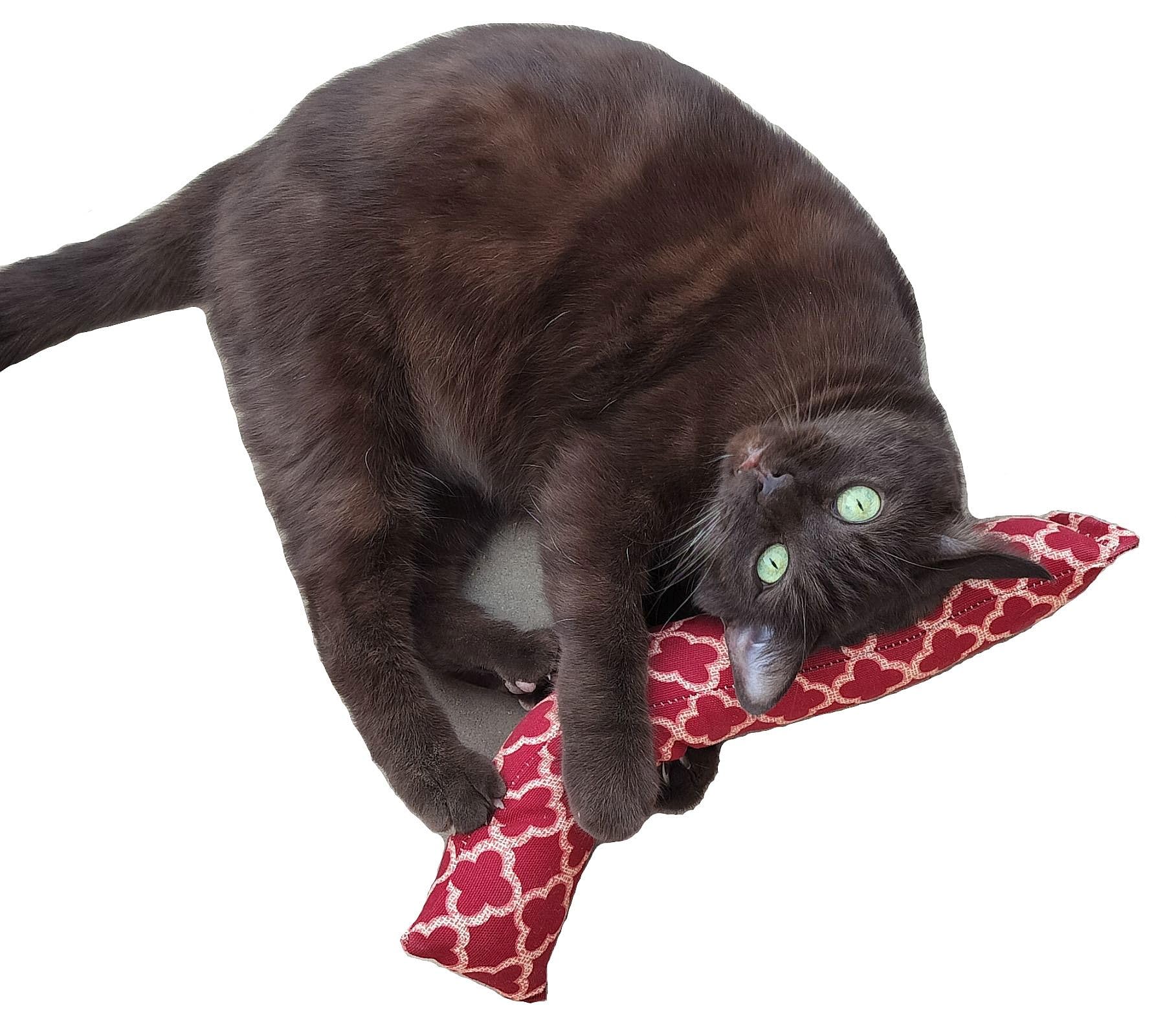 West Coast Pet Products 15'' Catnip Cat Kicker Toys/Kitty Kick Sticks/Cat-Nip Kick Sticks (Rose Red) (Kickers Filled With 1 Oz P