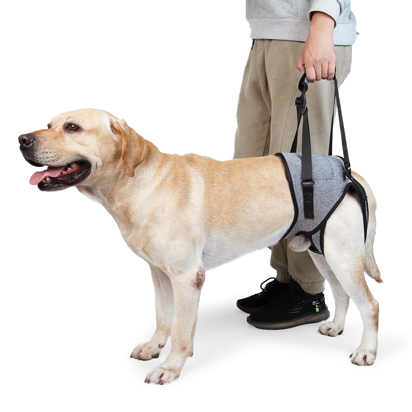 Dotoner Dog Sling for Large Dogs Hind Leg Support to Help Rehabilitate The Hind Limbs of Elderly Dogs with Weak Hind Legs Disabi