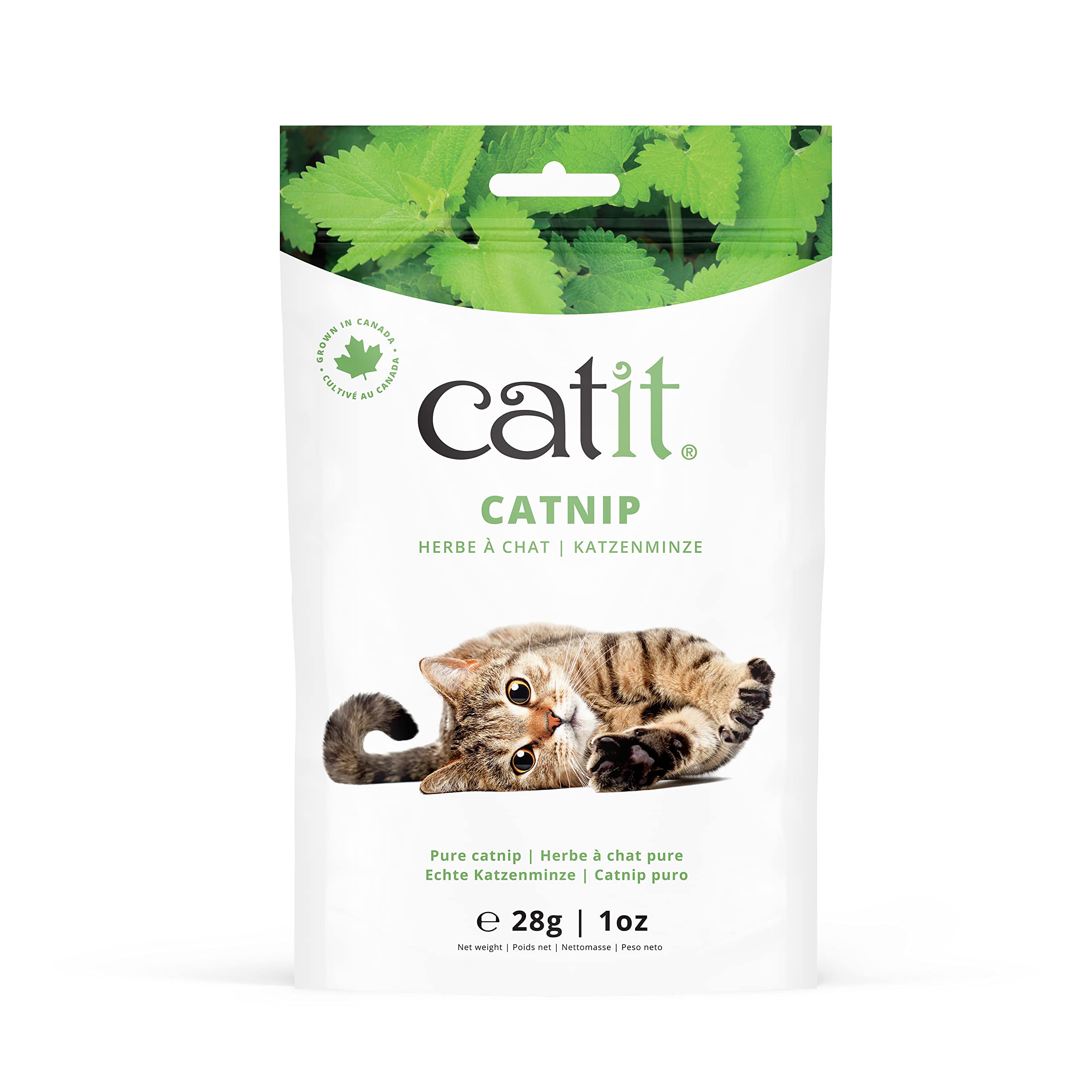 Catit Dried Catnip for Stimulating Indoor and Outdoor Cats, 1 oz.