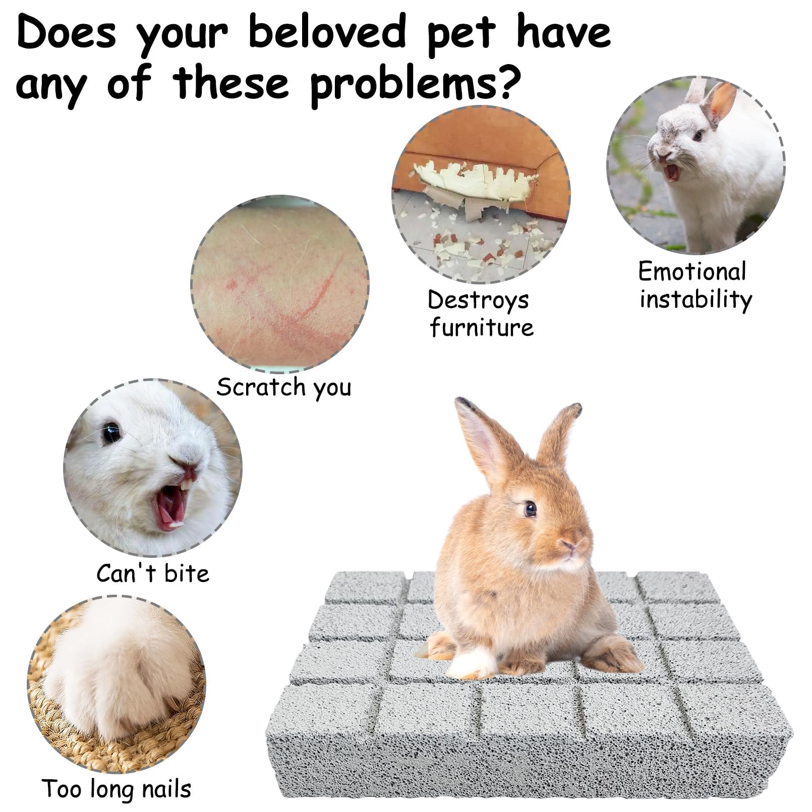 Hamiledyi 10Pcs Rabbit Scratching Pad Bunny Lava Grinding Claw Board Small Animal Foot Pad Hamster Chew Toys For Gerbil Chinchil