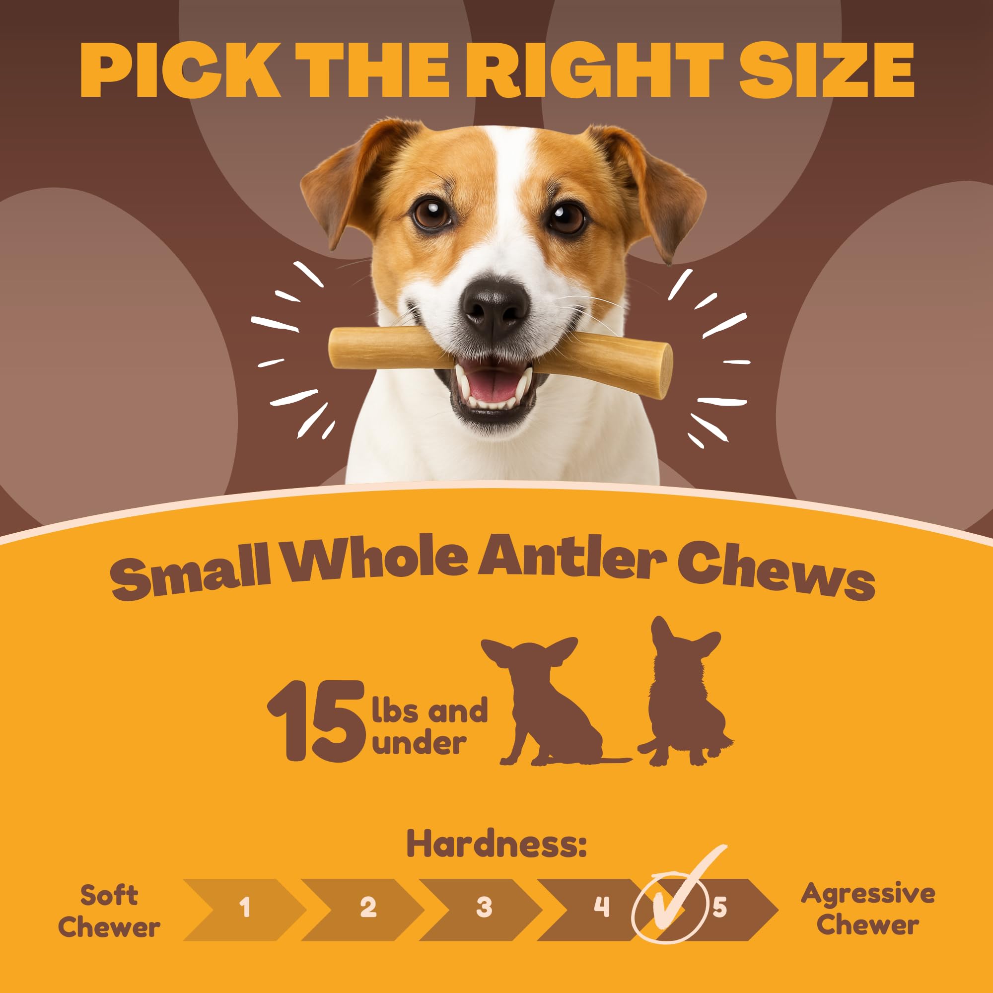 WhiteTail Naturals - Deer Antlers for Extra Small Dogs (12 Pack) Natural Dog Antler Chews for Puppies & Small Aggressive Chewers