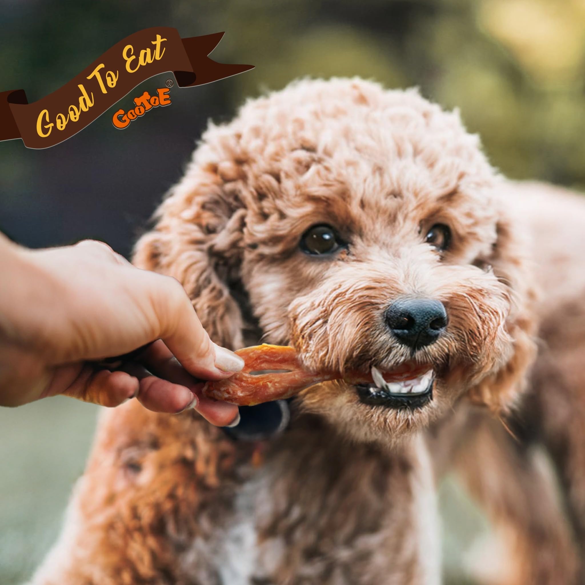 Gootoe Turkey Tendon Dog Treats - 100% USA-Sourced, Natural Snack, Premium Training Chews, Hypoallergenic, Reseal Value Bags, Si
