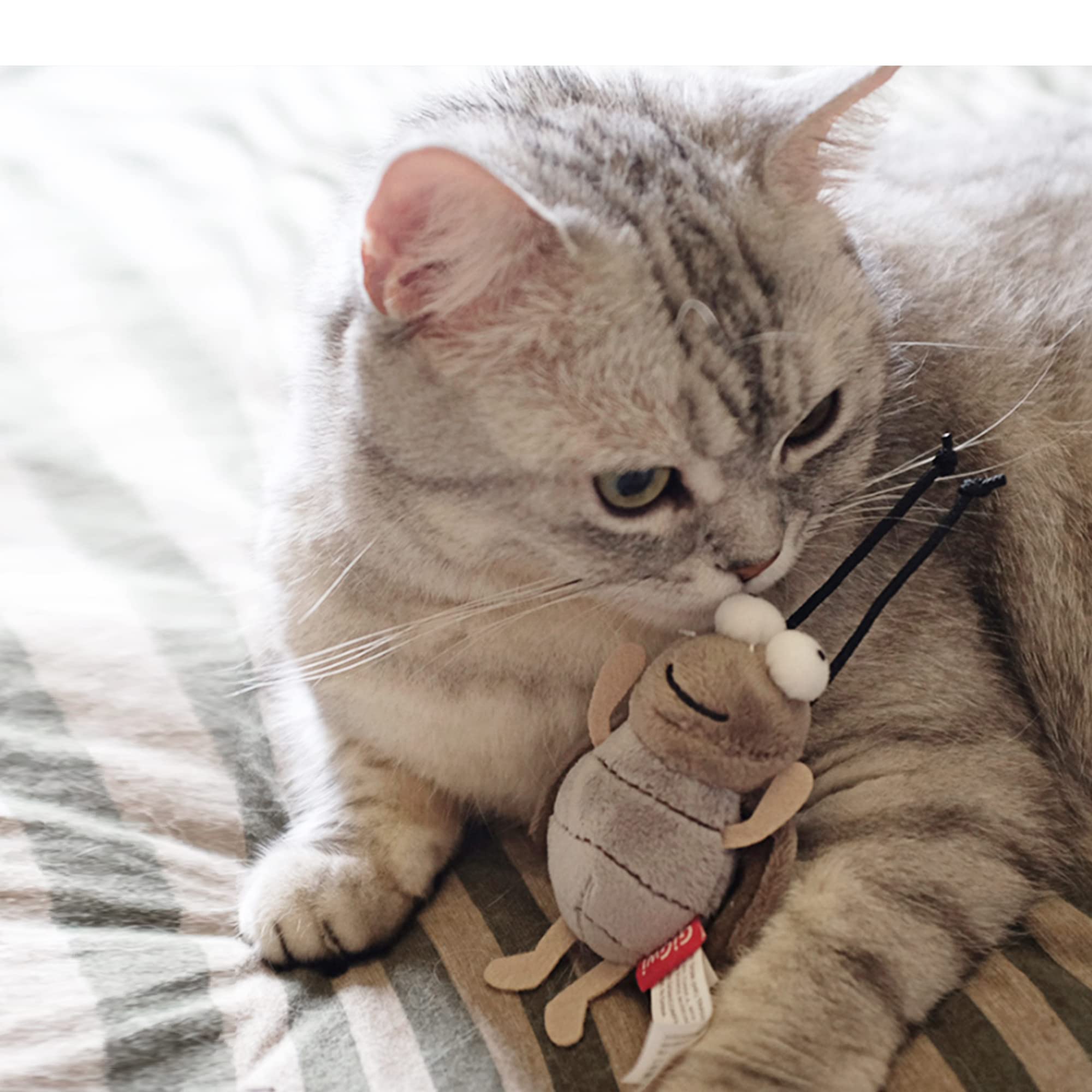 Gigwi Squeaky Cricket Cat Toy,Interactive Cat Toys Electronic Motion Activated Bug Sound,Automatic Cat Play Squeaky Toy For Indoor Fun