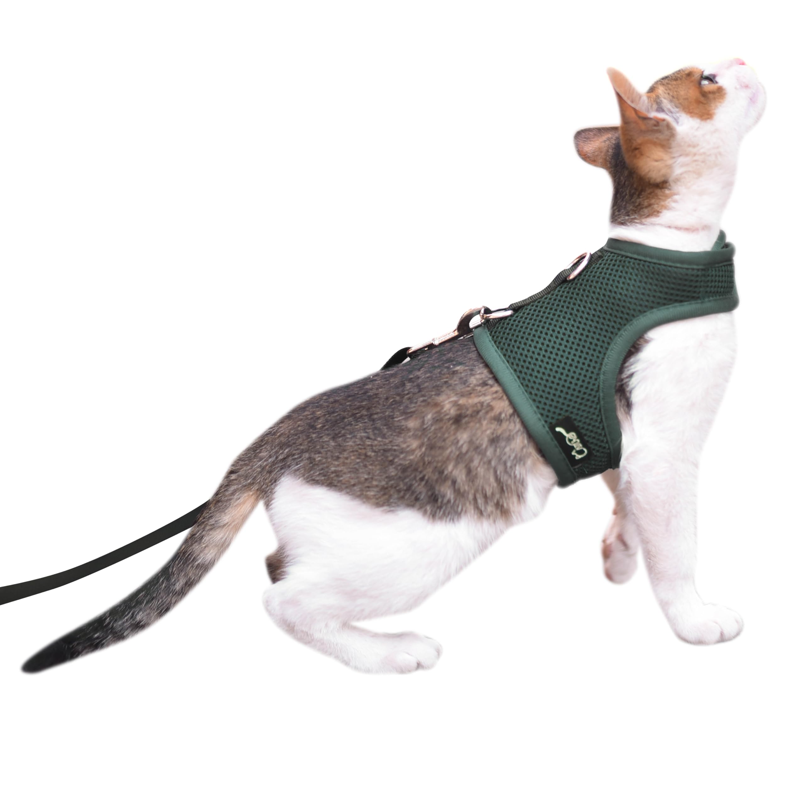 Kitty Harness And Leash For Walking Escape Proof Breathable Mesh Fabric, Solid Green, Small, Adjustable Cat Walking Jackets, Pad