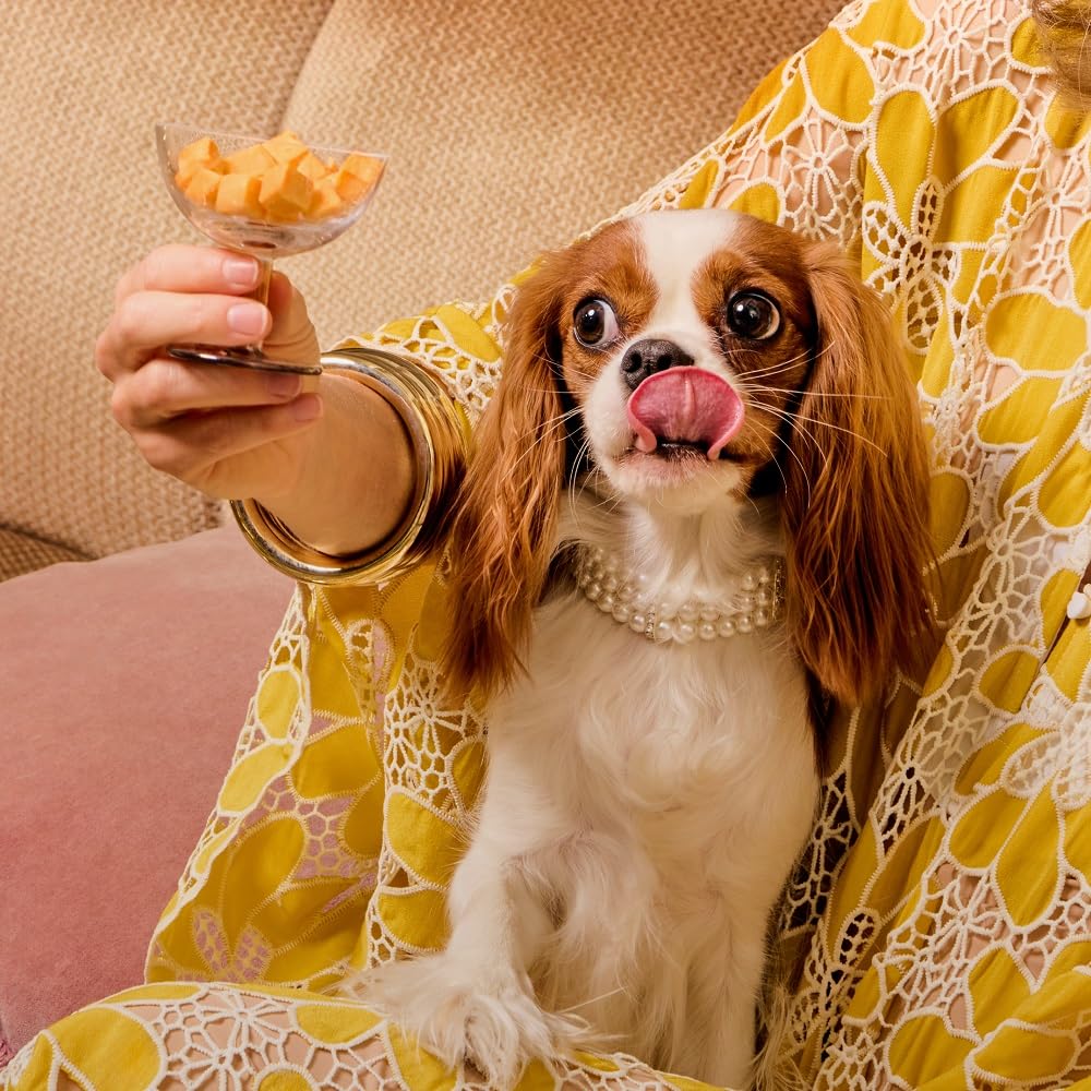 WagWell Freeze Dried Cheese Dog Treats - Grain-Free, High-Protein Pasteurized Dog Treats Made in The USA - Human-Grade, Minimall