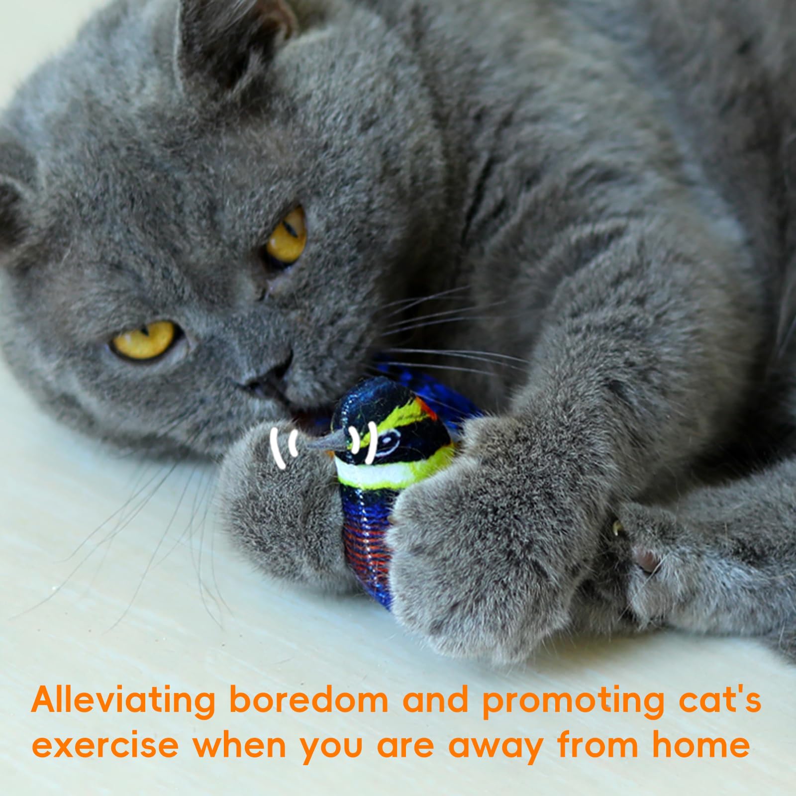 Catnip Cat Toys Satisfy Cat'S Natural Hunting Instintion Bird Cat Toys For Indoors Cats Feather Cat Toys Interactive Cat Toy Wit