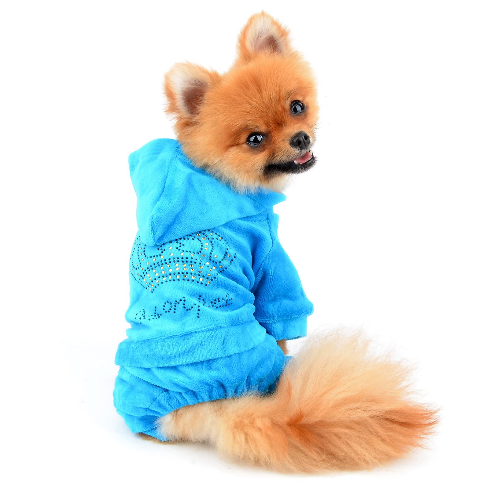 Smalllee_Lucky_Store Pet Clothes For Small Dog Cat Soft Velvet Crown Jumpsuit Coat Hooide Pajamas Tracksuit Blue Xl