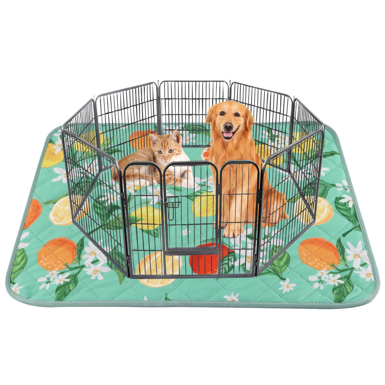 Bvagss Washable Pee Pads For Dogs, 1 Pack Reusable Leakproof Puppy Wee Wee Pad, Non-Slip Waterproof Pet Training Pads, Super Abs