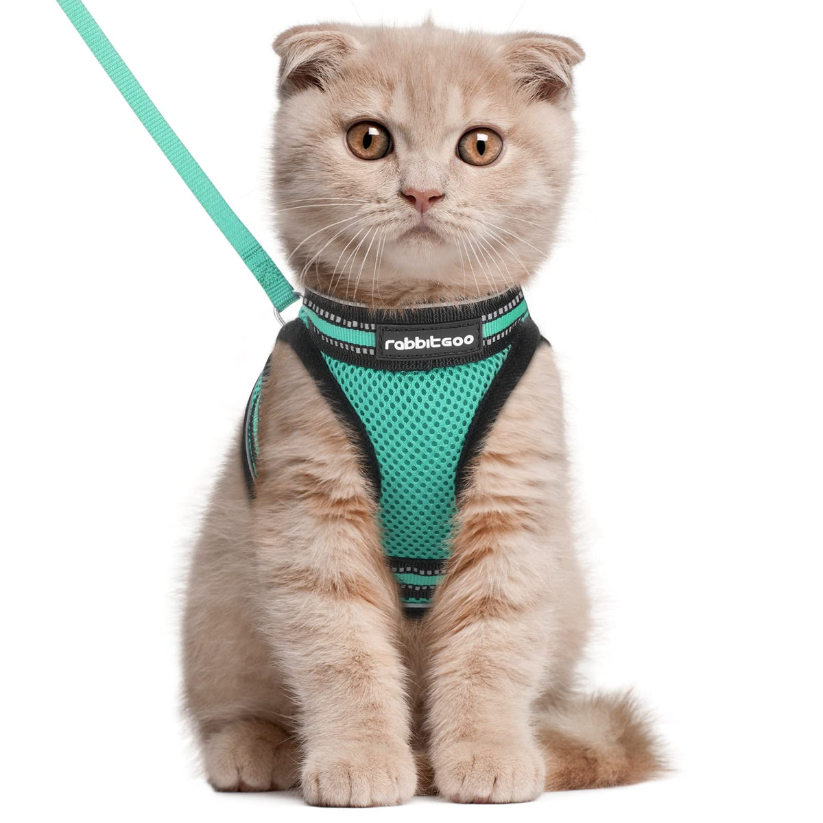 Rabbitgoo Cat Harness And Leash Set For Walking Escape Proof, Adjustable Soft Kittens Vest With Reflective Strip For Cats, Comfortable Outdoor Vest,Green,L