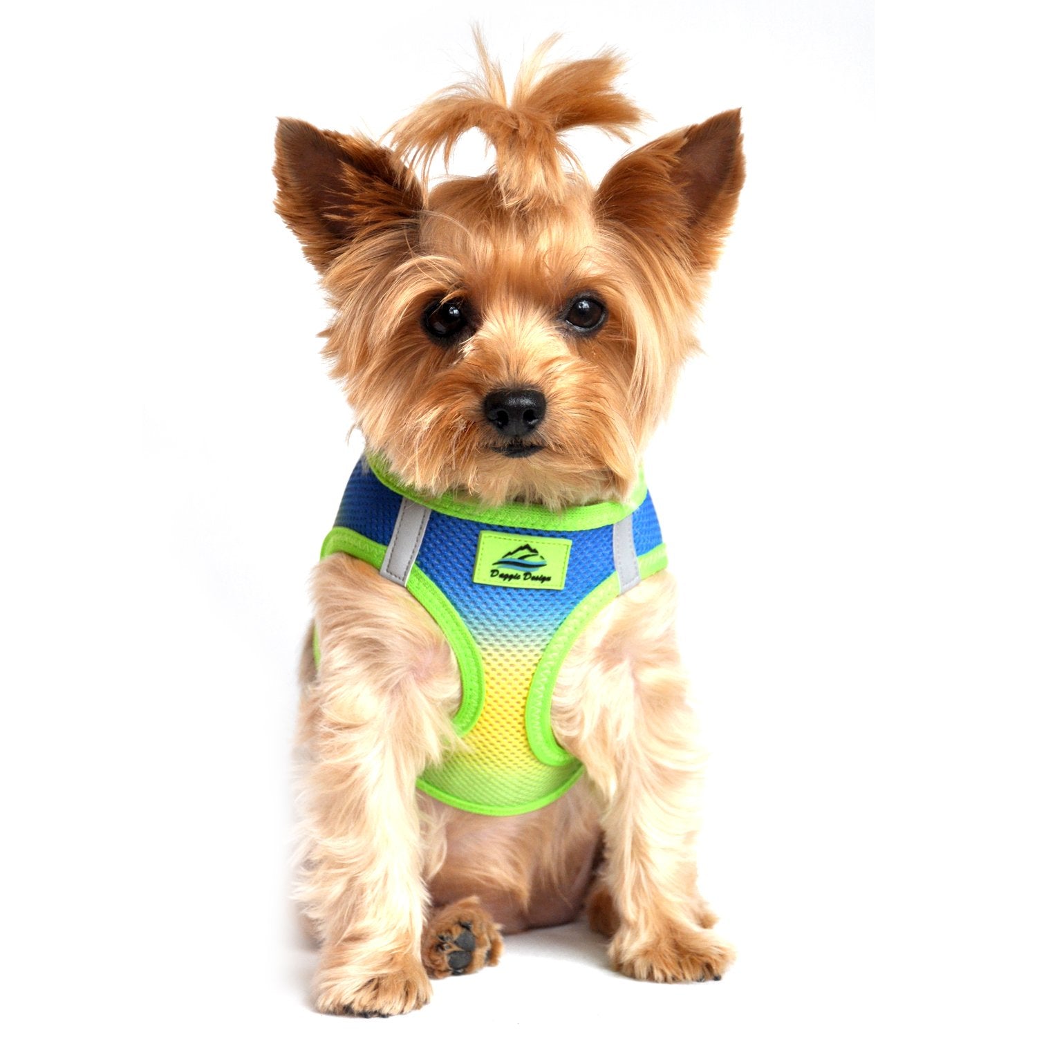 Doggie Design American River Dog Harness Ombre Collection - Cobalt Sport Xxs