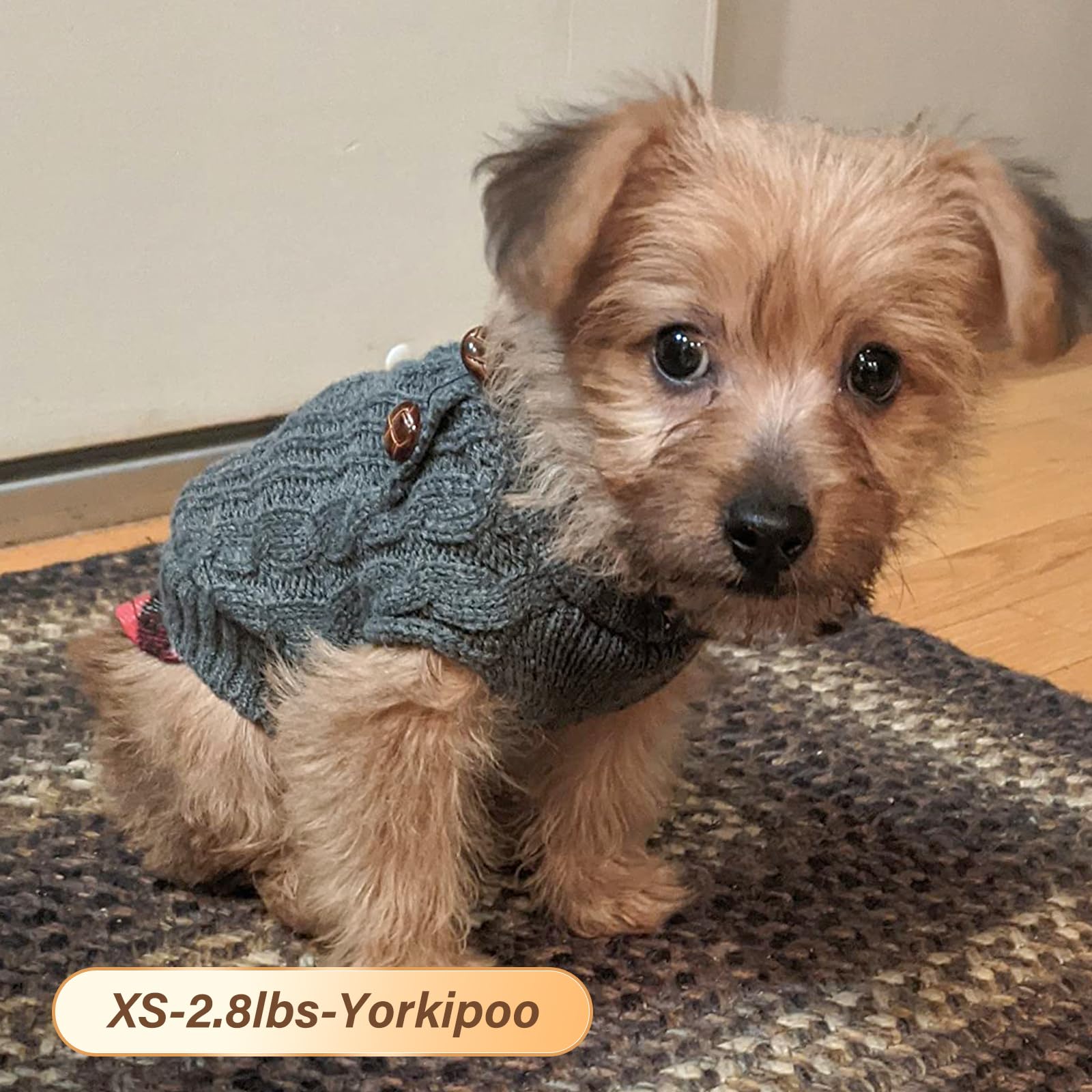 Kyeese Small Dogs Sweater With Leash Hole Doggie Pullover Sweater Knitwear Knit Warm Pet Coat For Fall Winter