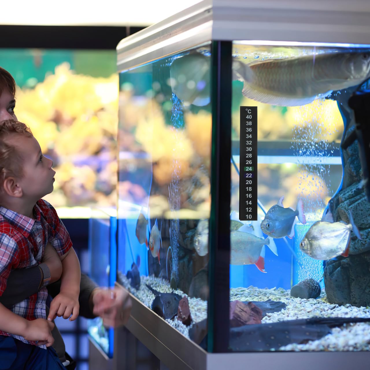 FRCOLOR 30Pcs Aquarium Thermometer Indoor Fish Tank Thermometer Sticker Discoloration Liquid Crystal Temperature Strips Adhesive