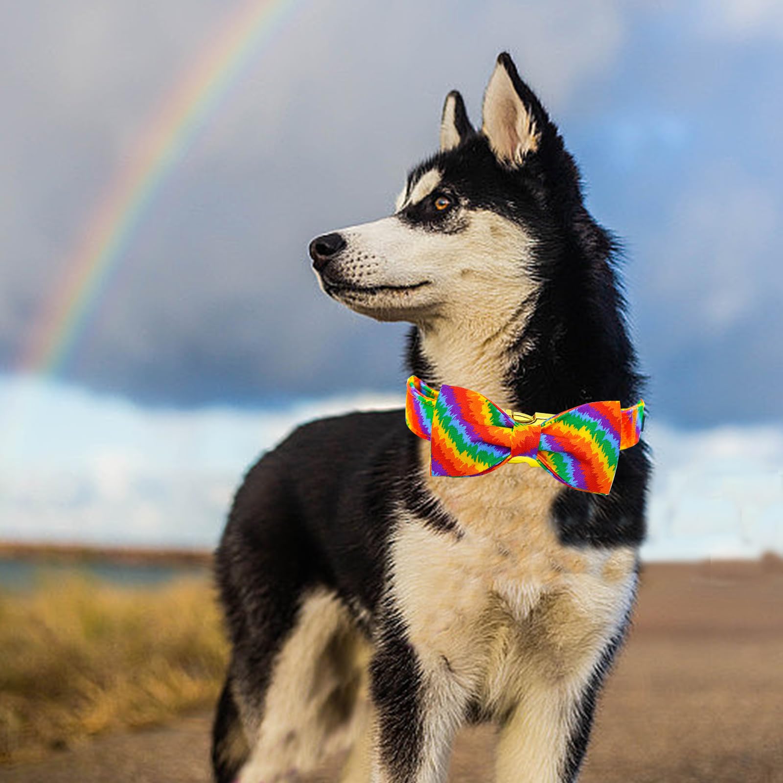 Elegant Little Tail Dog Collar, Rainbow Dog Collars Bowtie Lgbt For Pride Month Pet Collar Dogs Girl Boy Adjustable Pet Collar F