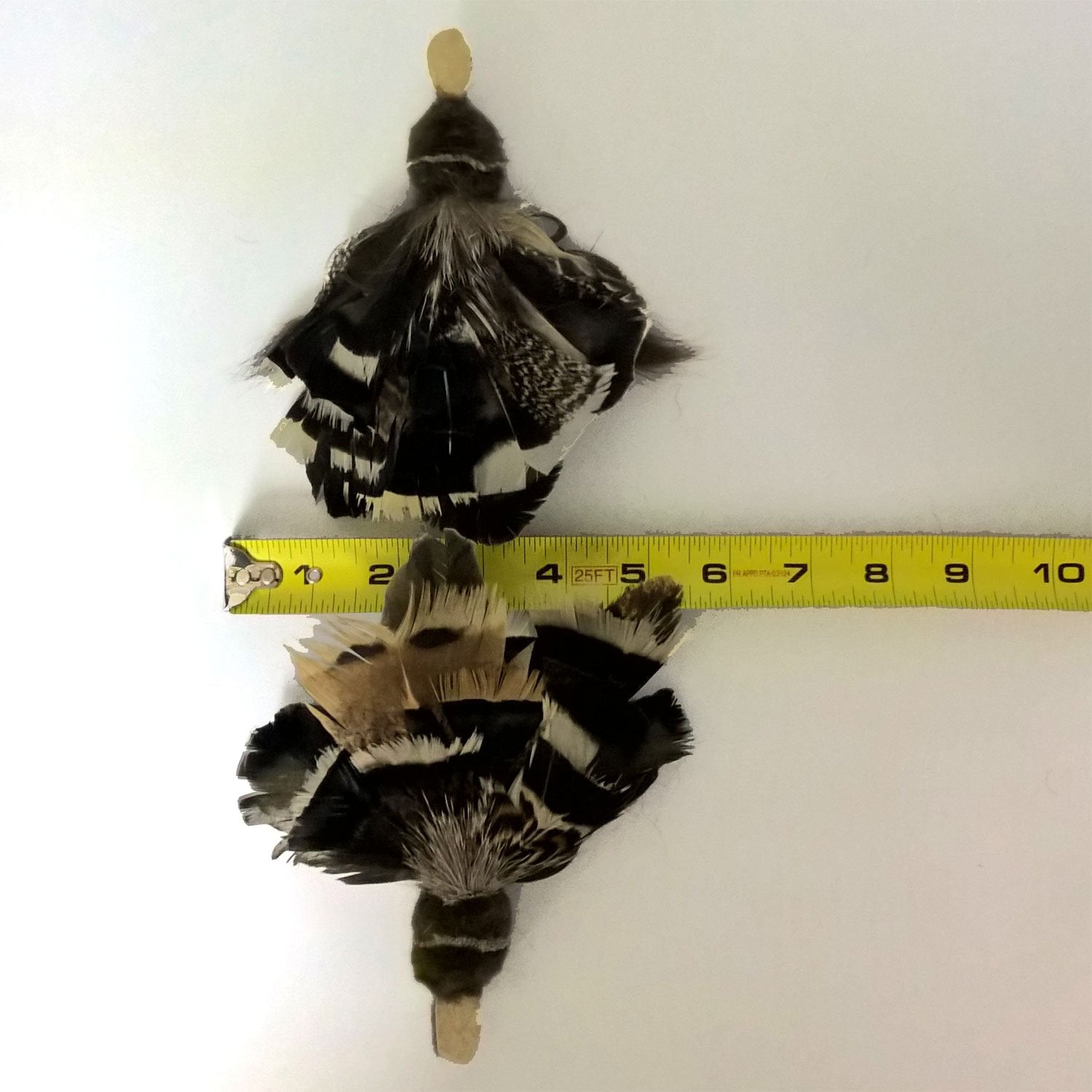 Big Sky Cats Golden Eagle Bird Refill/Attachment - Fits Wildcat And Popular Bird And Mouse Type Wands/Poles