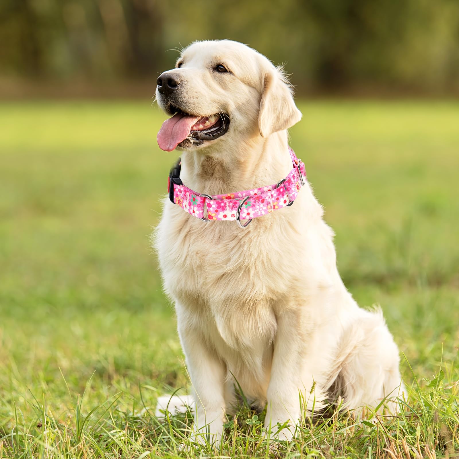 Pink Martingale Collar For Large Dogs With Safety Buckle, Adjustable Girl Dog Collars With Flowers Design, Heavy Duty No Slip Co
