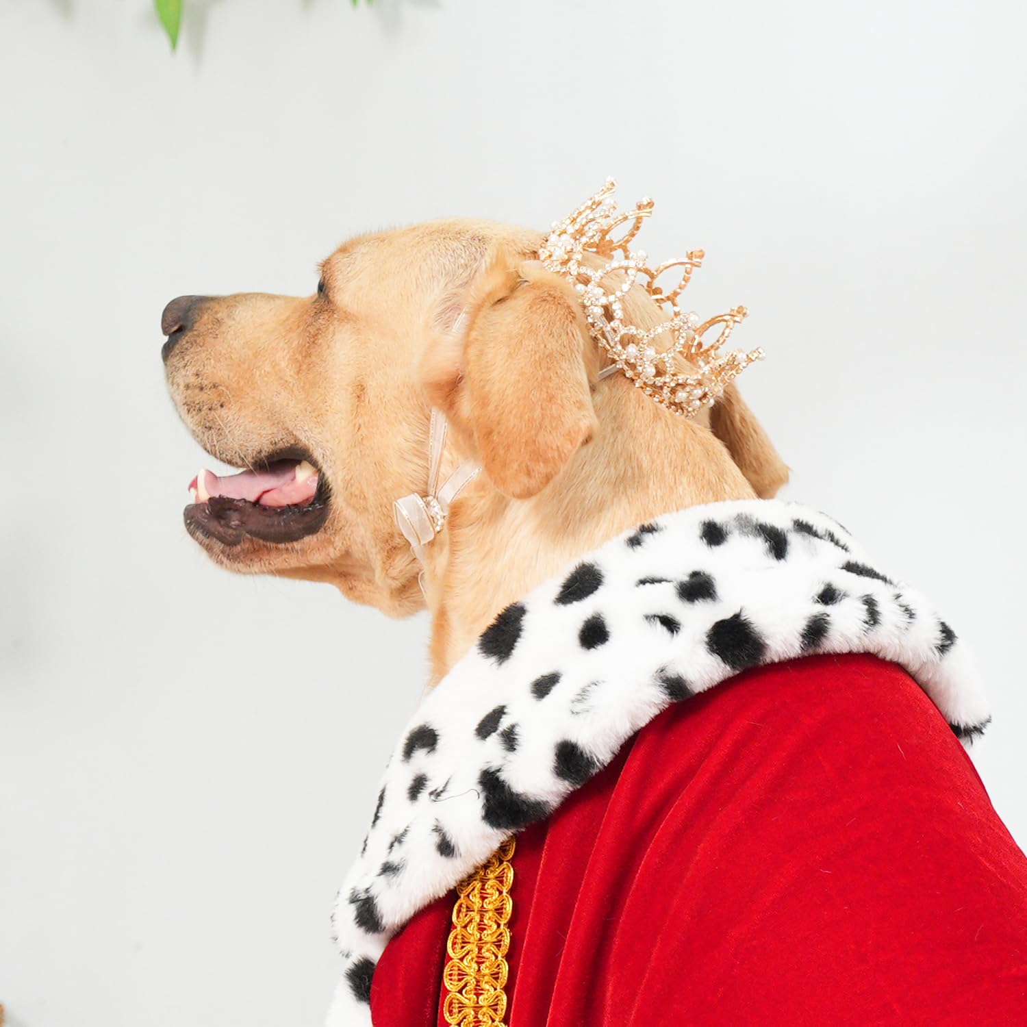Lovelyshop Pet Series Gold Plated Royal Rhinestone Pearl Full Round Dog/Cat Crown For Rolyal Family Costume Hair Accessories-Xla