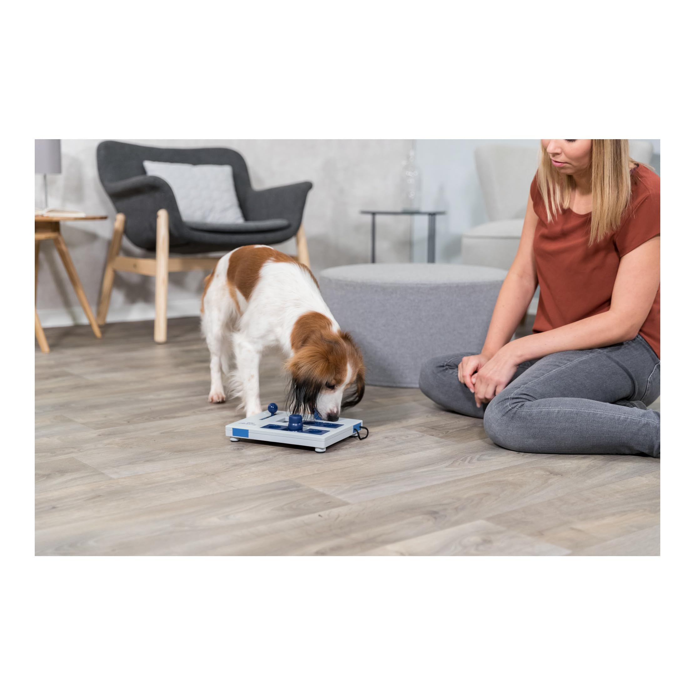 TRIXIE Mini Mover Strategy game, Advanced Dog Puzzle Toy, Level 3 Activity, Treat Puzzle, Interactive Play, Enrichment