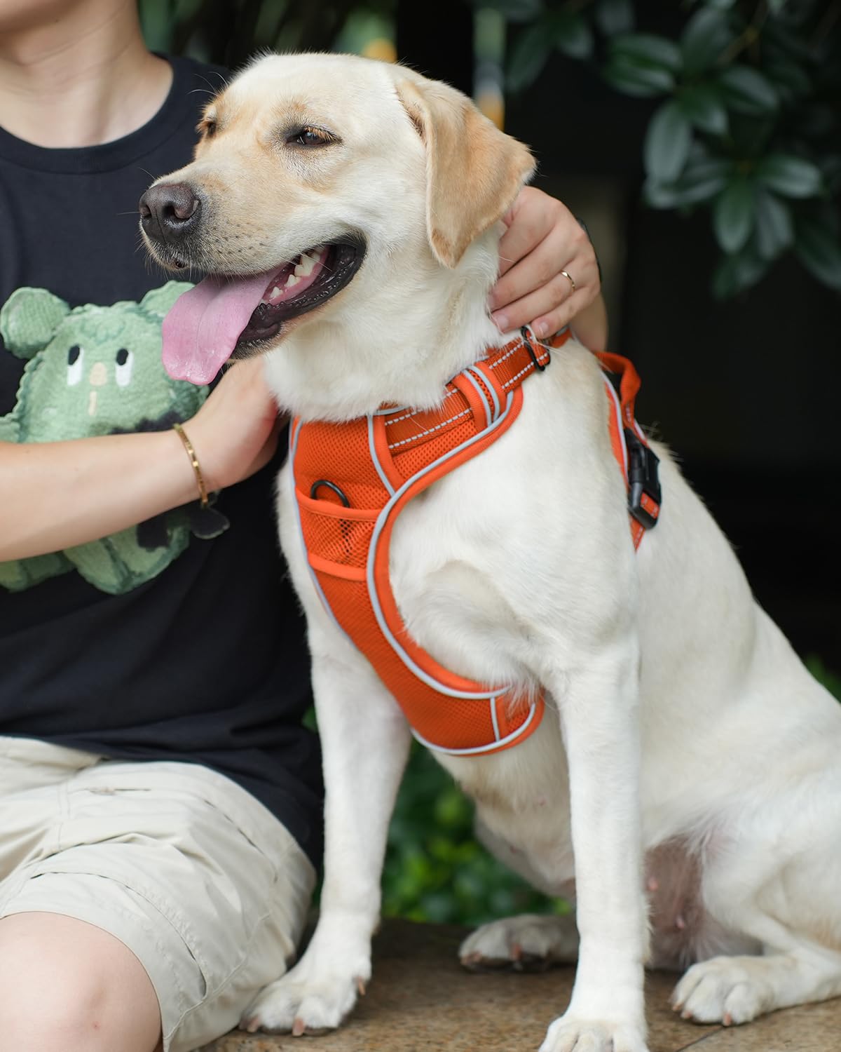 Joytale Step-In No Pull Dog Harness For Large Dogs With 2 Leash Clips, Reflective Pet Vest With Easy Control Handle, Adjustable