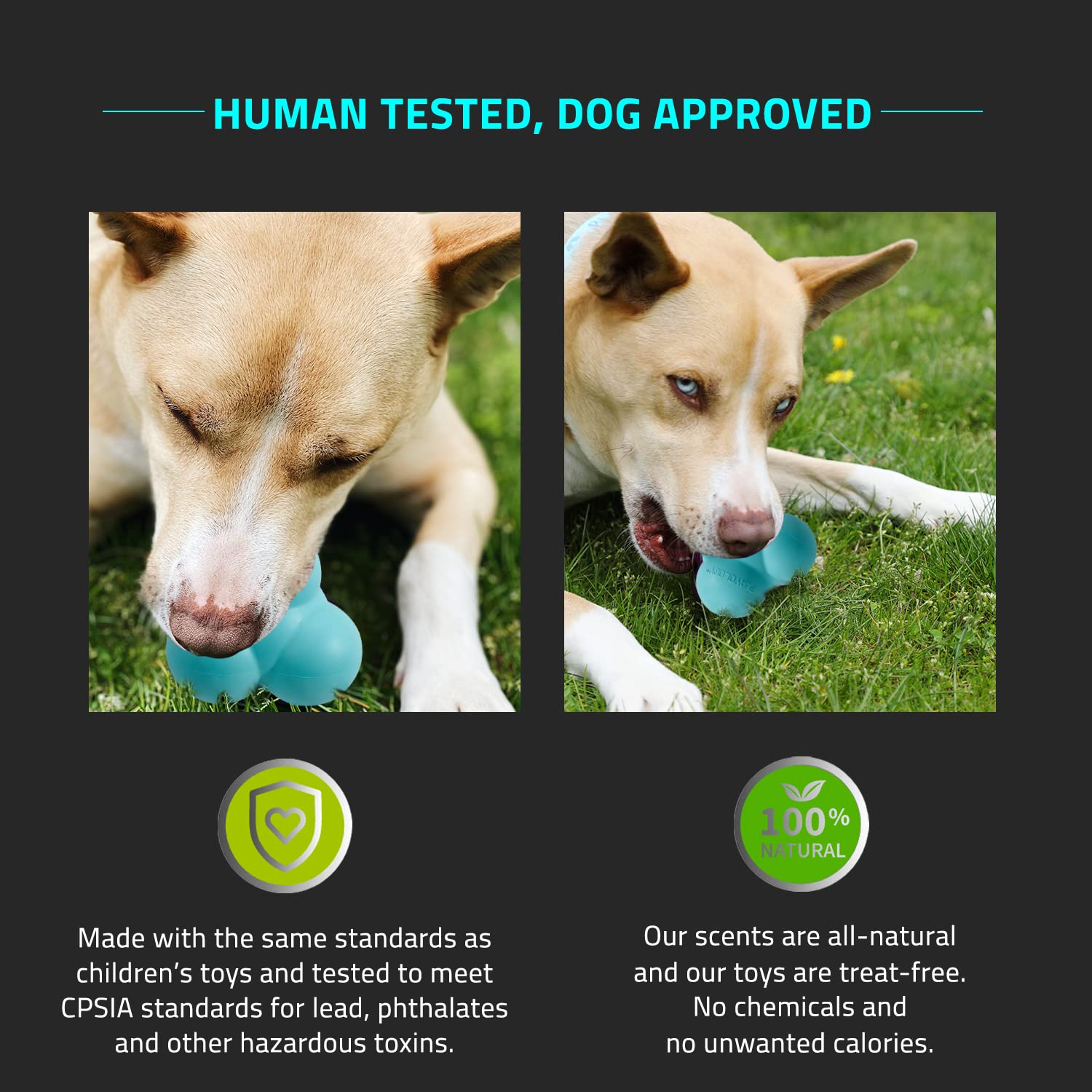 Playology Squeaky Bounce Ball Dog Toy, for Large Dog Breeds (35lbs and Up) - for Heavy Chewers - Engaging All-Natural Peanut But