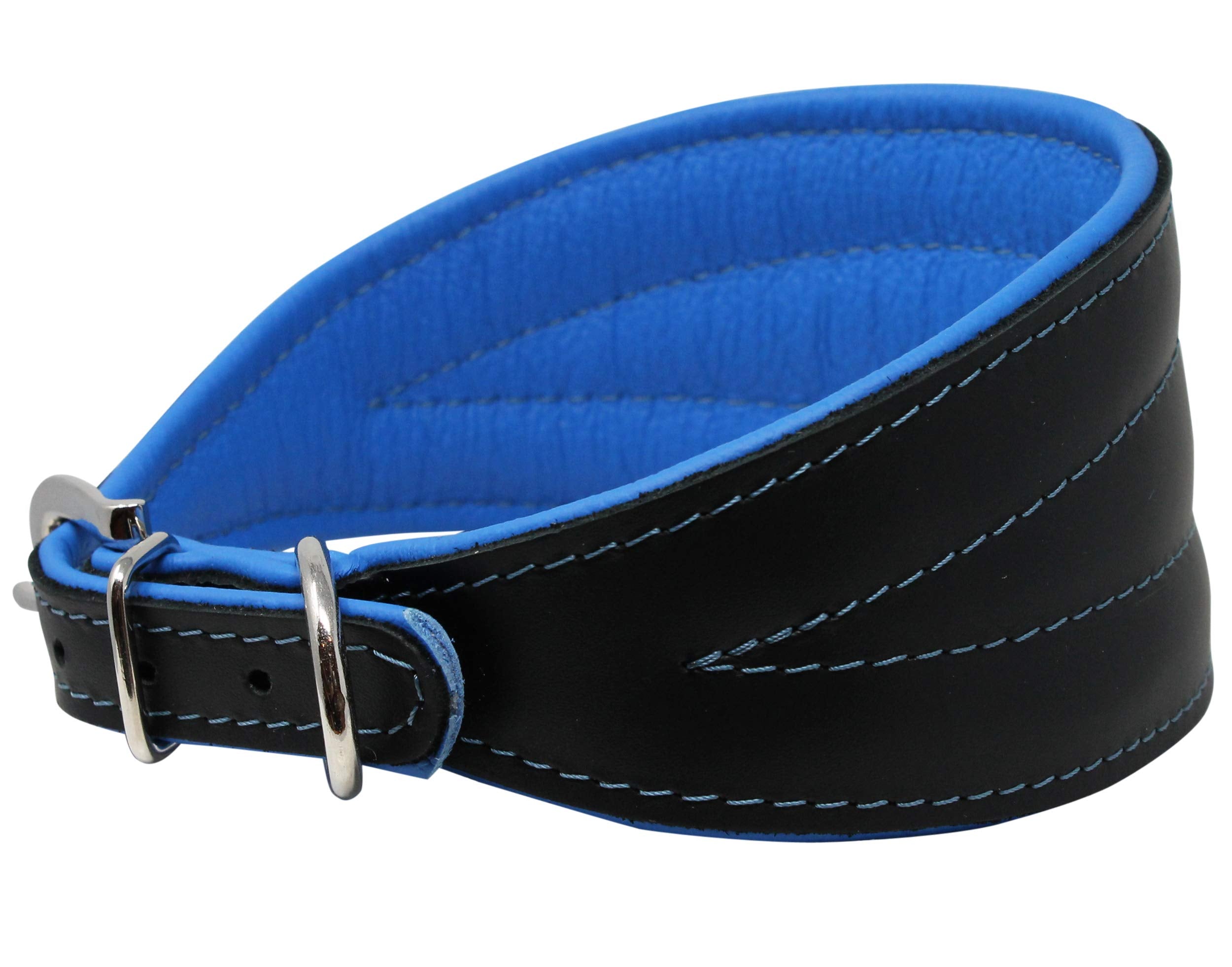 Real Leather Extra Wide Padded Tapered Dog Collar Glossy Black Greyhound Saluki Deerhound Lurcher Whippet Dachshund (16.75''-20'