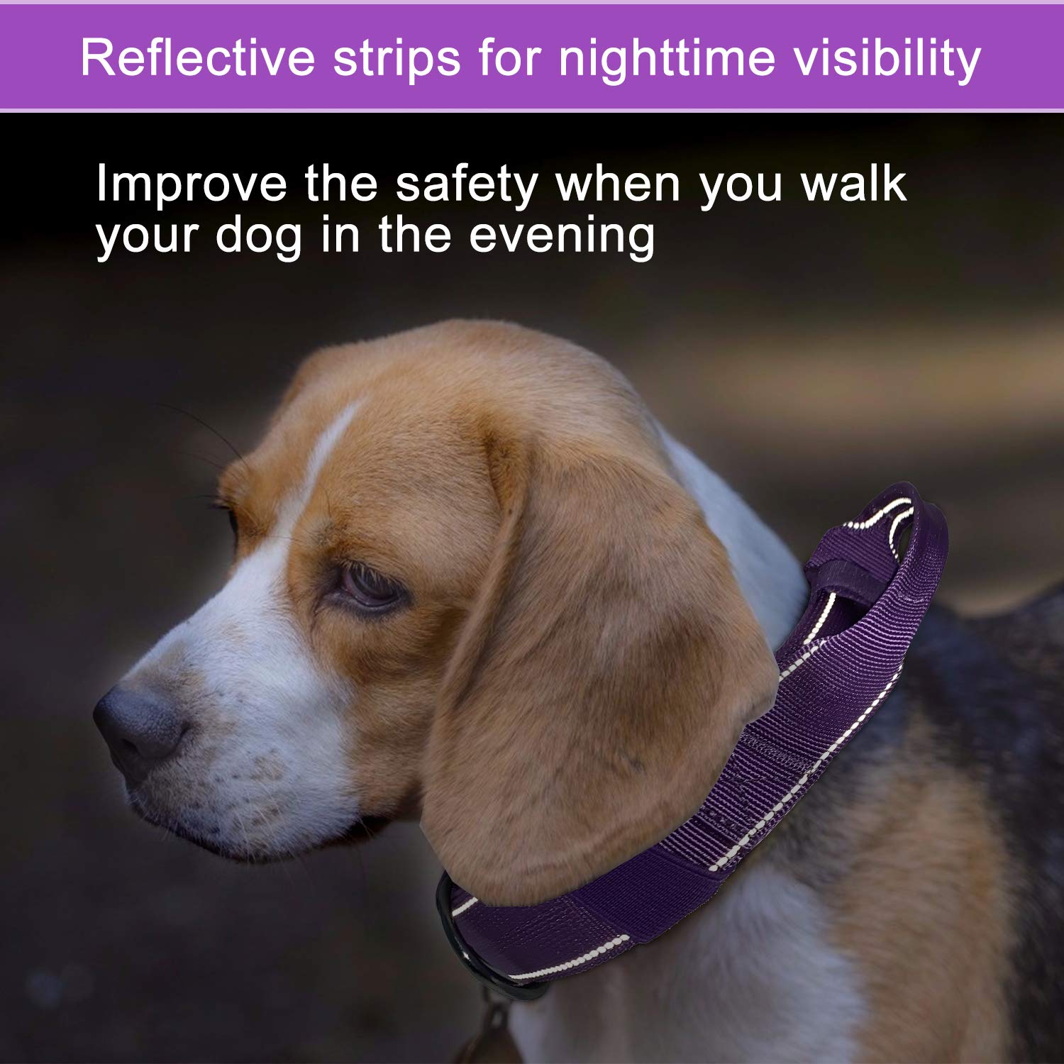 Yunleparks Reflective Dog Collar Heavy Duty Tactical With Control Handle And Metal Buckle For Dog Training(Large, Purple)