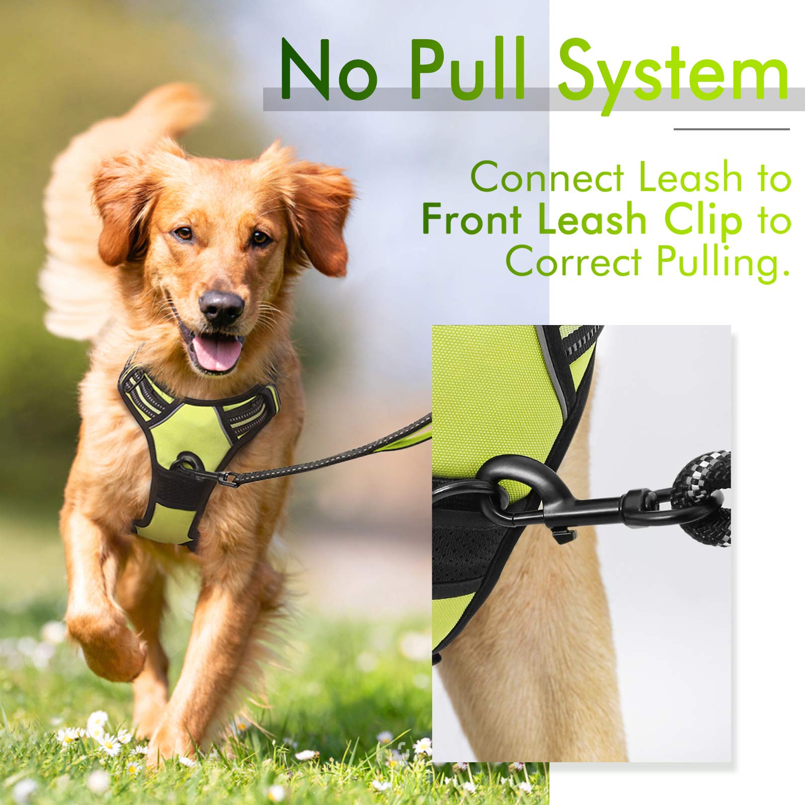 Rabbitgoo Dog Harness, No-Pull Pet Harness With 2 Leash Clips, Adjustable Soft Padded Dog Vest, Reflective No-Choke Pet Oxford Vest With Easy Control Handle For Large Dogs, Wild Lime, L