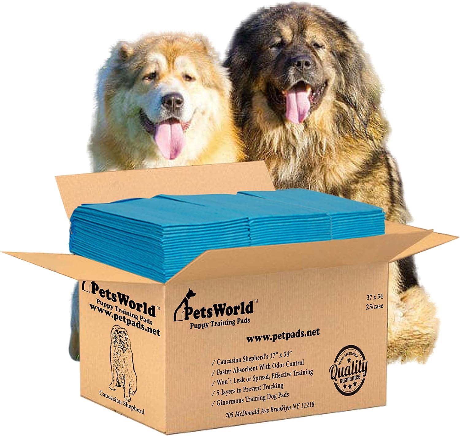 PETSWORLD Enormous Dog Training & Potty Pads, 37x54 inch - Tear Resistant with Strong Leak-Proof Backing, Optional Adhesive Tape
