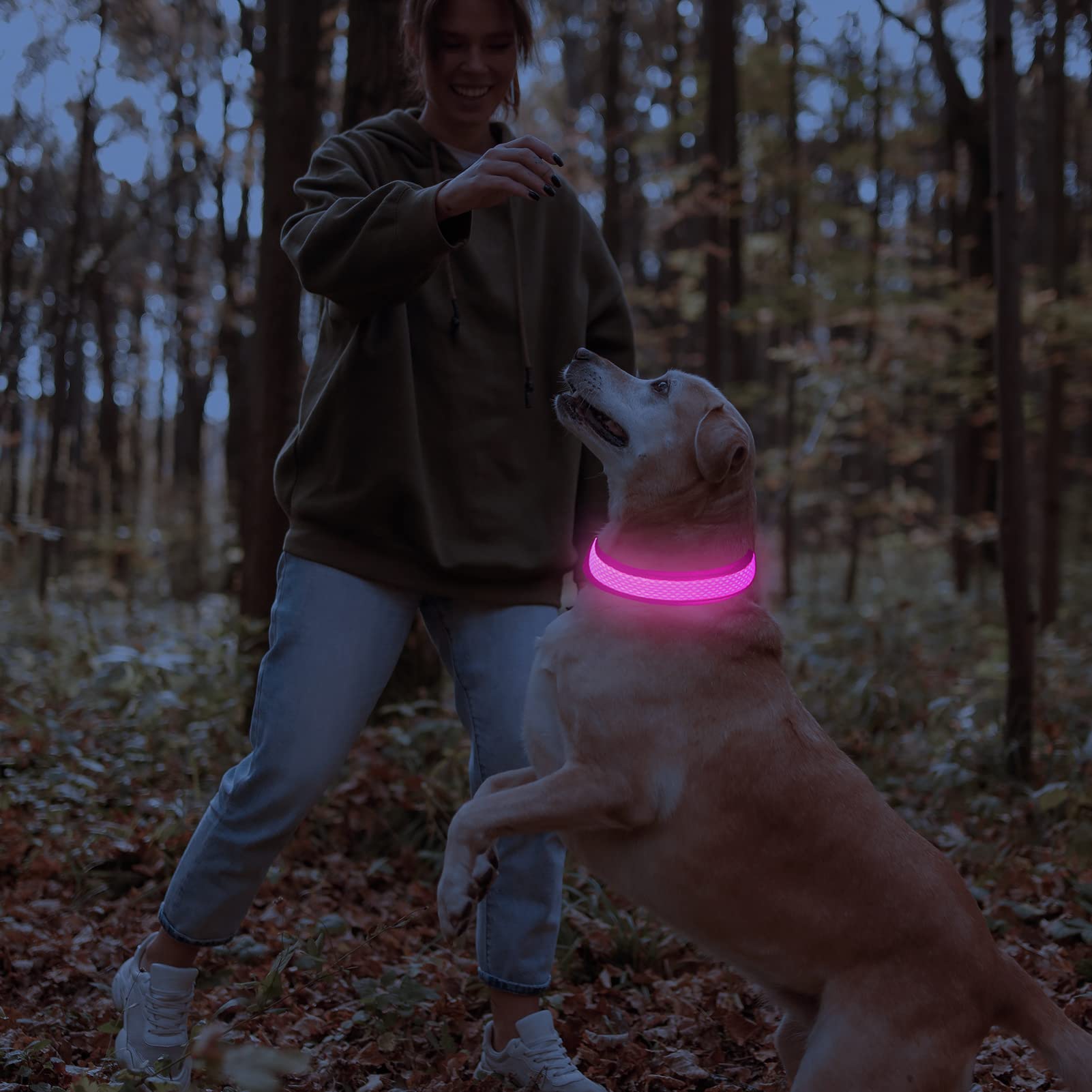 Domagiker Glowing Led Dog Collar - Rechargeable Light Up Dog Collars, Adjustable Lighted Dog Collar, Reflective Dog Glow Collar Walking Lights For Large Dogs (Pink, Large)
