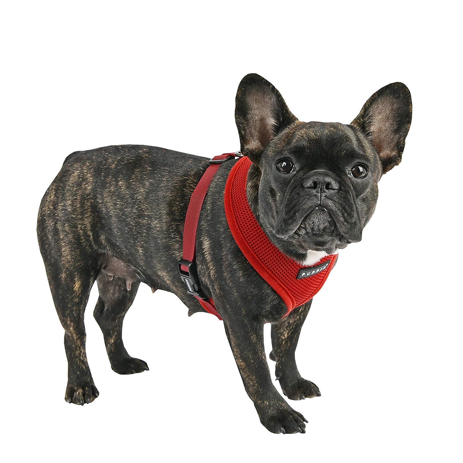Puppia Soft Dog Harness, Wine, Medium (Pdcf-Ac30-Wn-M)