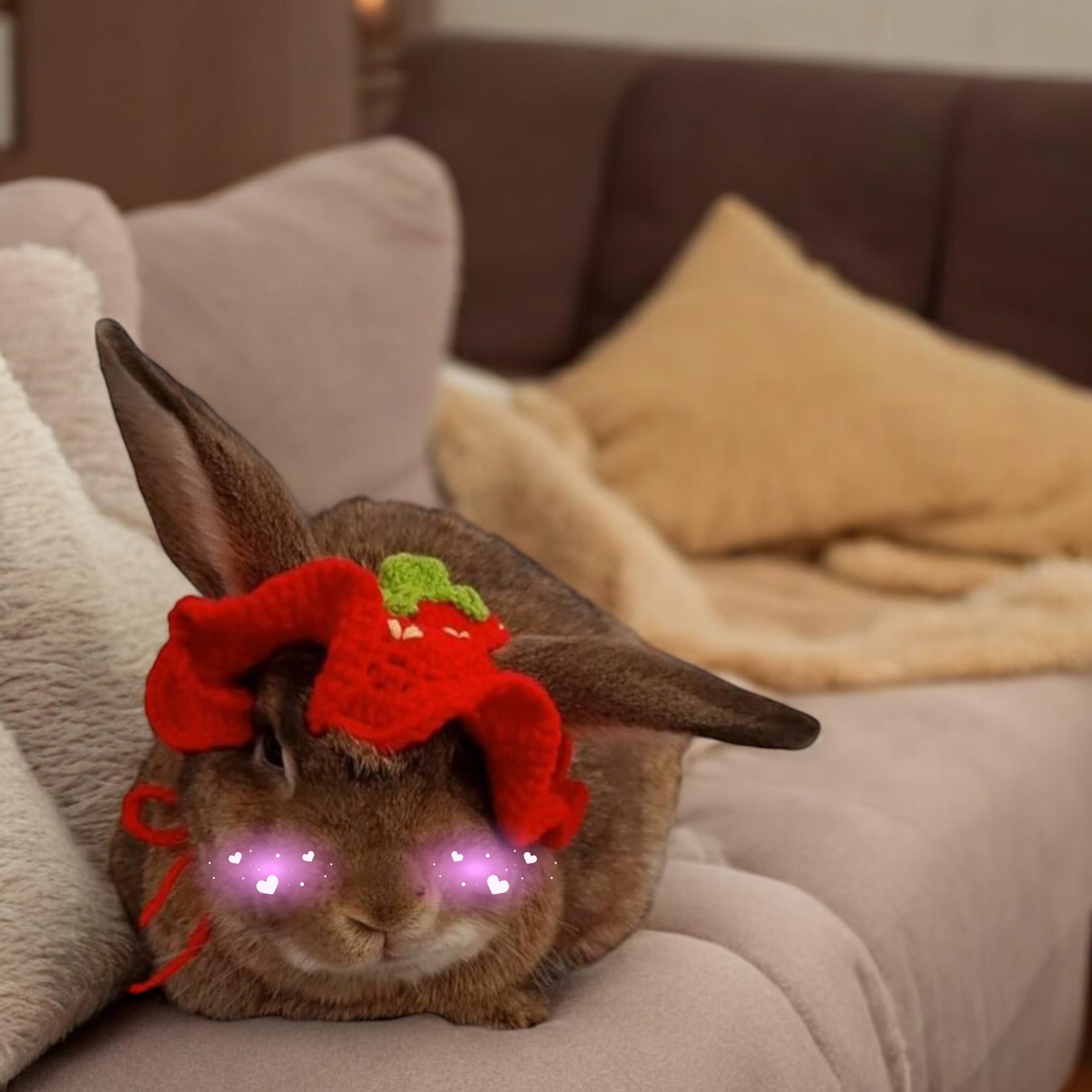 Cute Rabbit Knitted Hat and Collar Set, Bunny Hats and Necklace for Rabbits Guinea Pig Small Dog Cat, Hats for Pet Rabbits, Pet