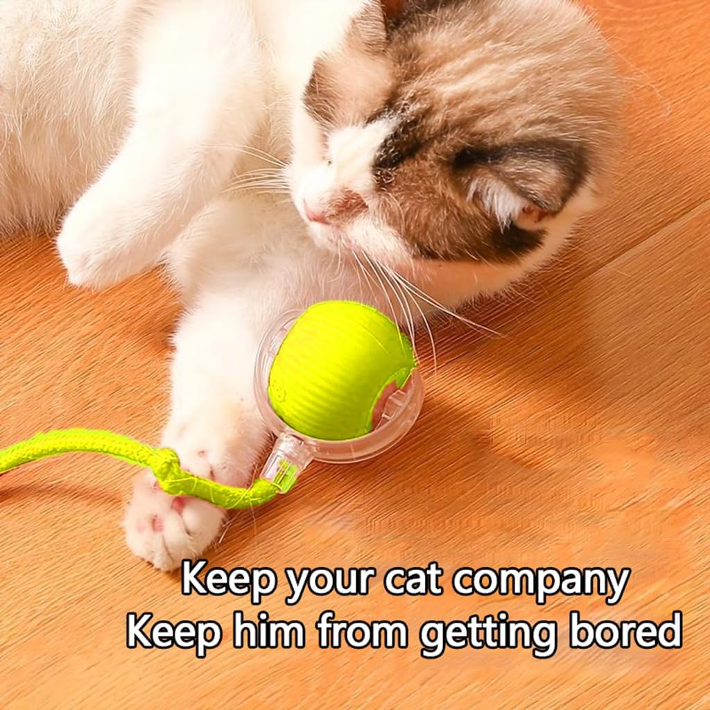 Upgraded 2025 Smart Interactive Electric Cat Toy Ball Indoor -Automatic Wake-Up Function Auto - Rolling, Ultra - Sensitive Obsta