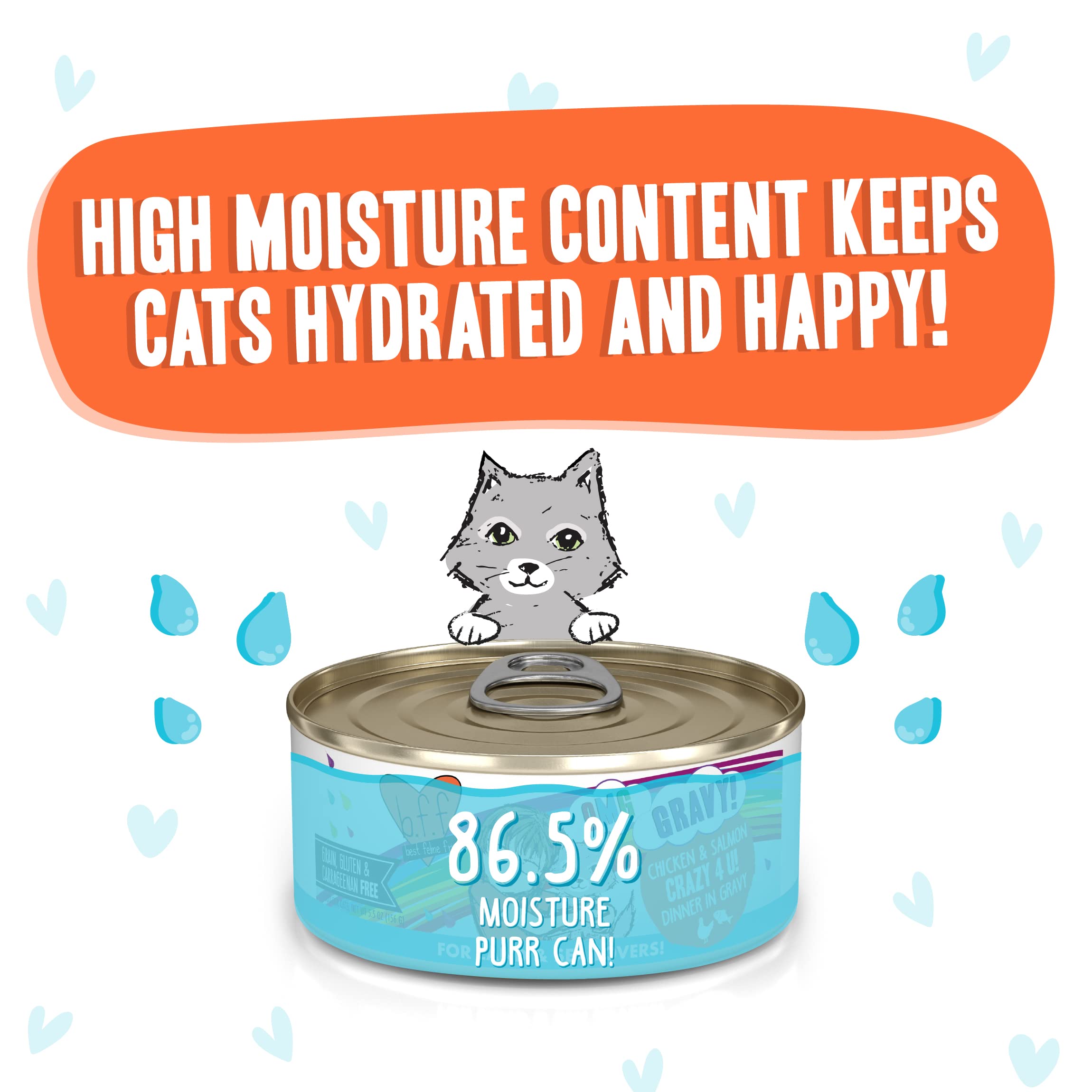 Weruva B.F.F. OMG - Best Feline Friend Oh My Gravy! Grain-Free Wet Cat Food Cans, Crazy 4 U! Chicken & Salmon, 5.5-Ounce Can (Pa