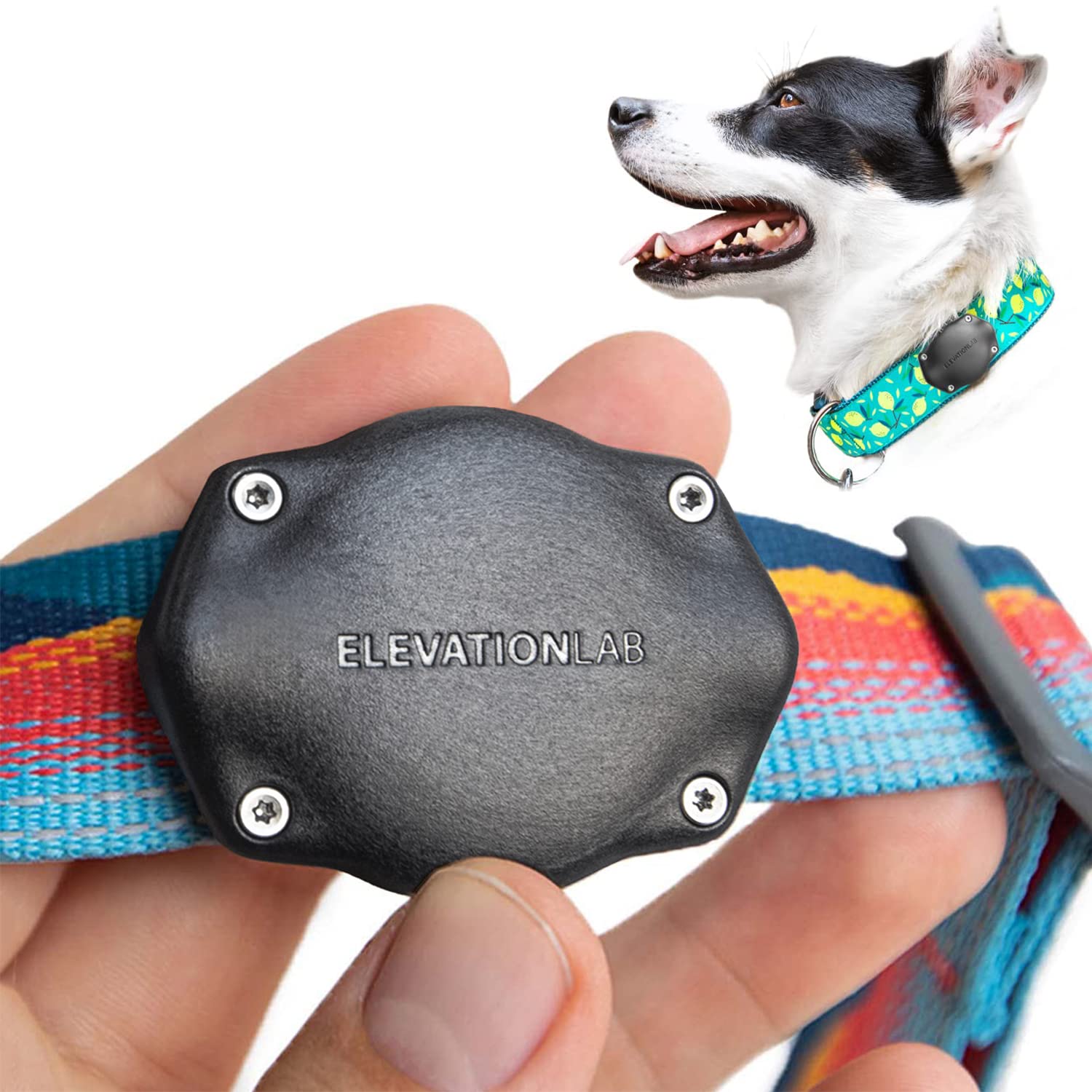 Elevation Lab Tagvault Pet - The Most Secure Airtag Dog Collar Mount | Ip68 Waterproof, Fits All Width Collars