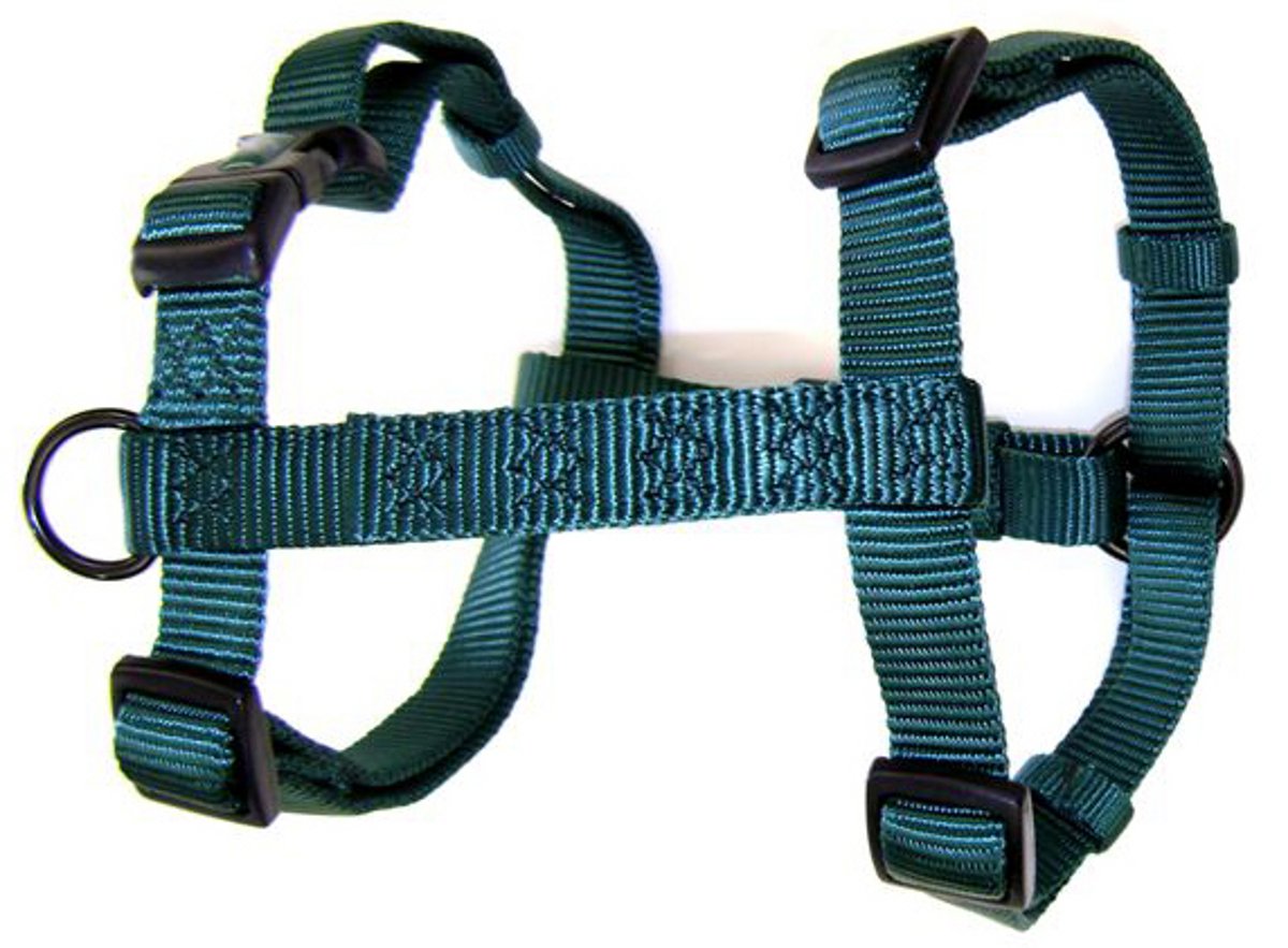 Hamilton Adjustable Comfort Nylon Dog Harness, Dark Green, 5/8'' x 12-20''
