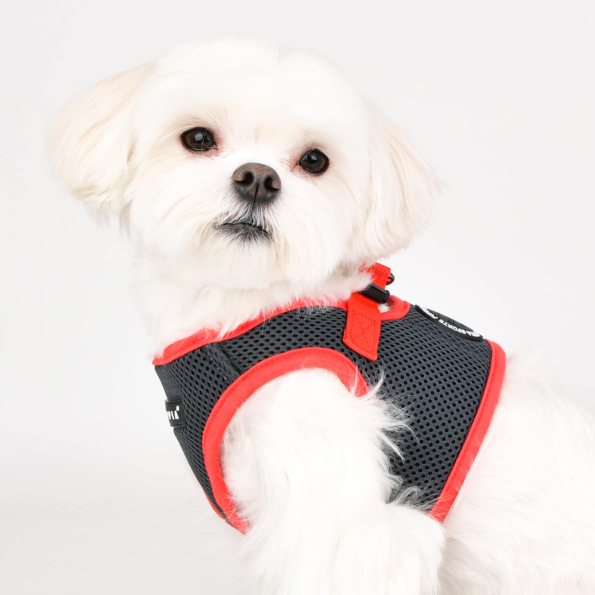 Puppia Soft Vest Dog Harness Ii Mesh Step-In All Season No Pull No Choke Walking Training For Small & Medium Dog - Grey - Xl