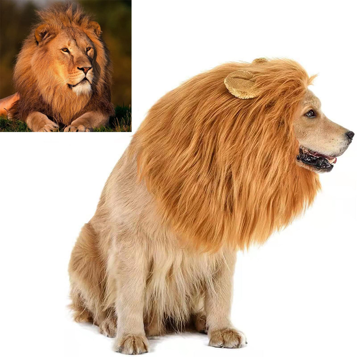 Funny Dog Cosplay Lion Brown Wig, Realistic Lion Mane Wig, Dog Lion Mane For Halloween, Christmas, Parties, Festivals, Dog Wigs For Large Dogs