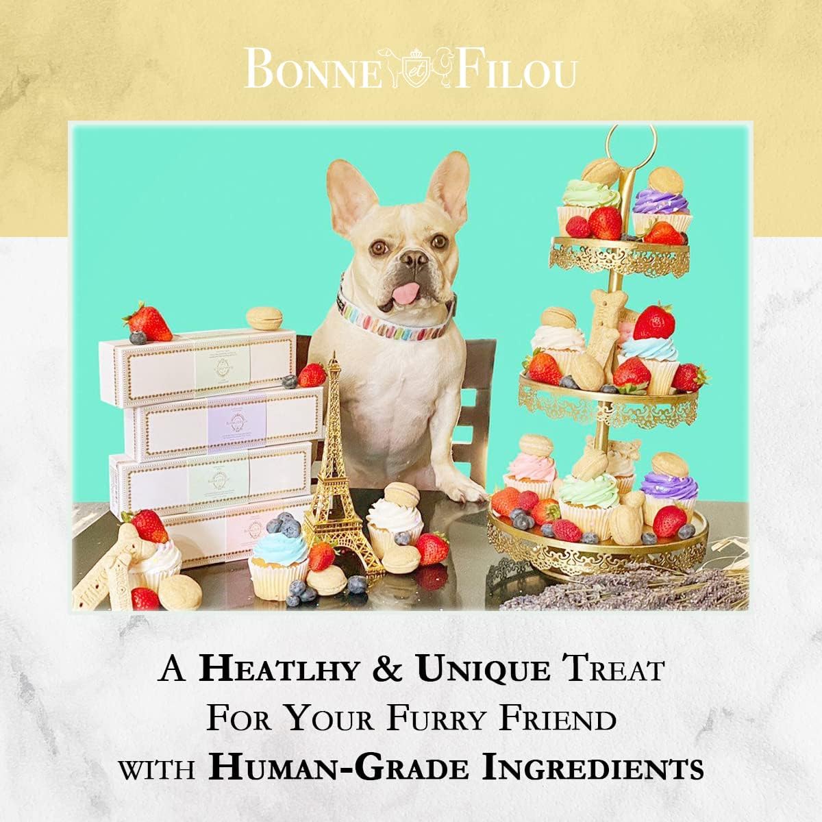 Dog Macarons - count of 6 (Dog Treats  Dog gifts)(D0102HIRLM7)