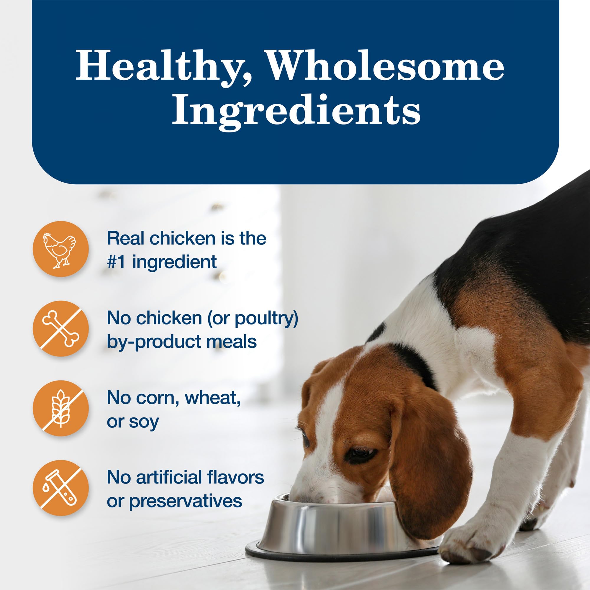 Blue Buffalo Homestyle Recipe Large Breed Adult Wet Dog Food, Made with Natural Ingredients, Chicken Dinner With Garden Vegetabl