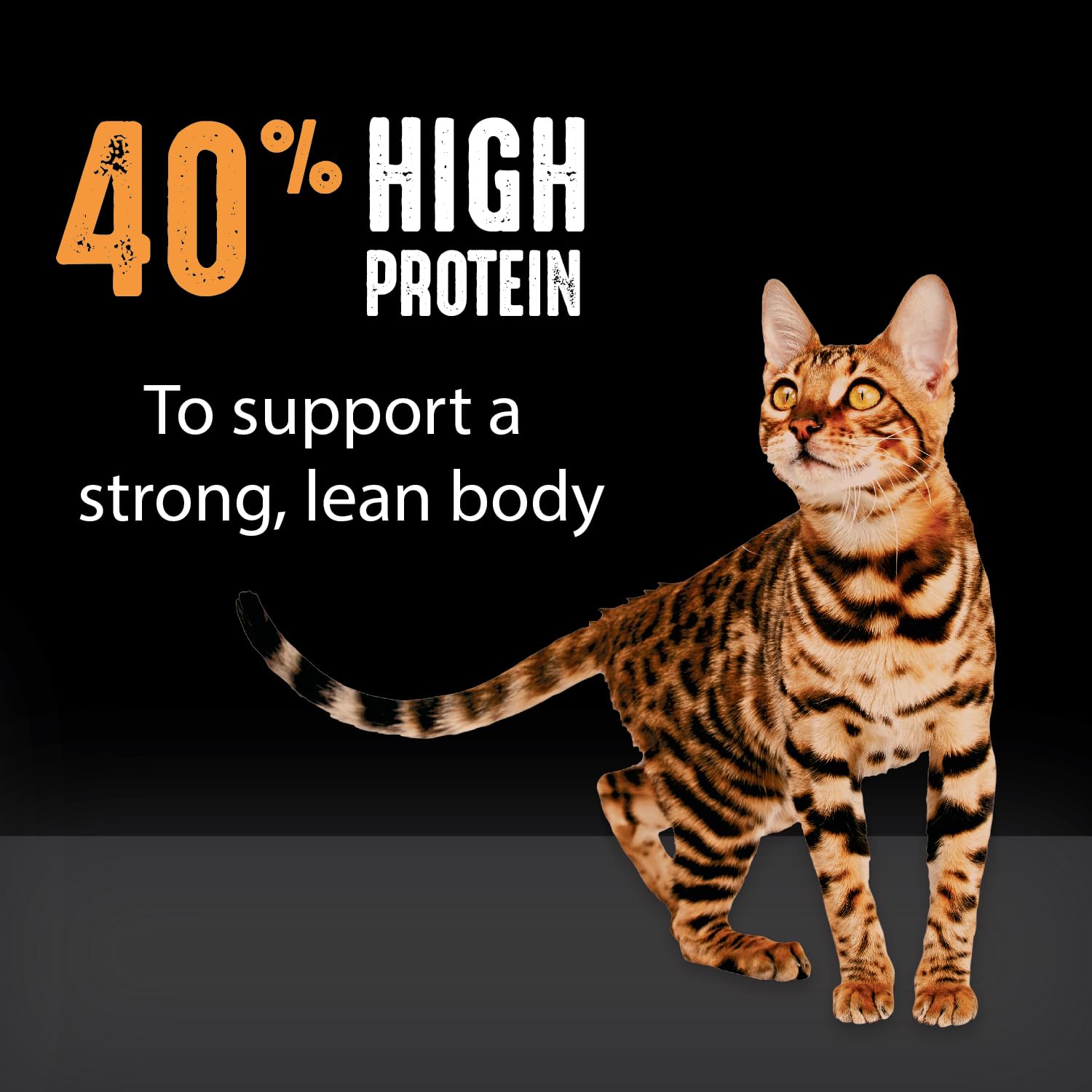 CRAVE High Protein Grain Free Dry Cat Food, Chicken, 4 lb Bag