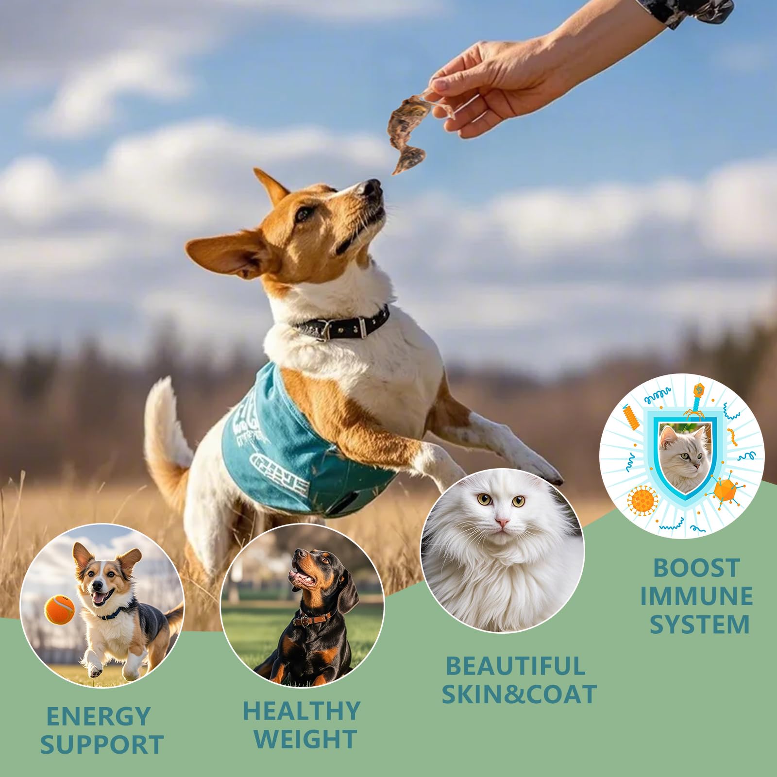 Freeze Dried Little Quail, 4.5 Oz Quail Dogs Cat Treats, Single Ingredient Freeze Dried Cat and Dog Treats Delicious Training Sn