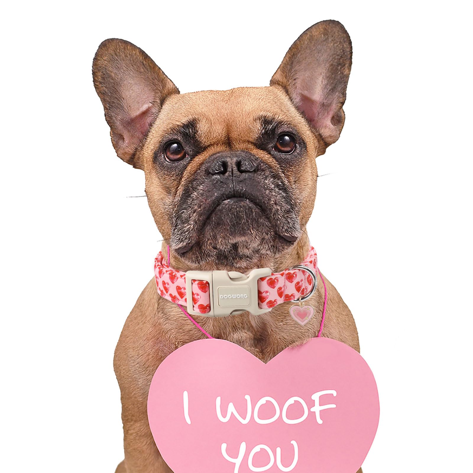 Dogwong Valentine Dog Collar- Cute Pink Heart Dog Collars Adjustable Durable Designer Valentines Day Dog Collar For Small Medium
