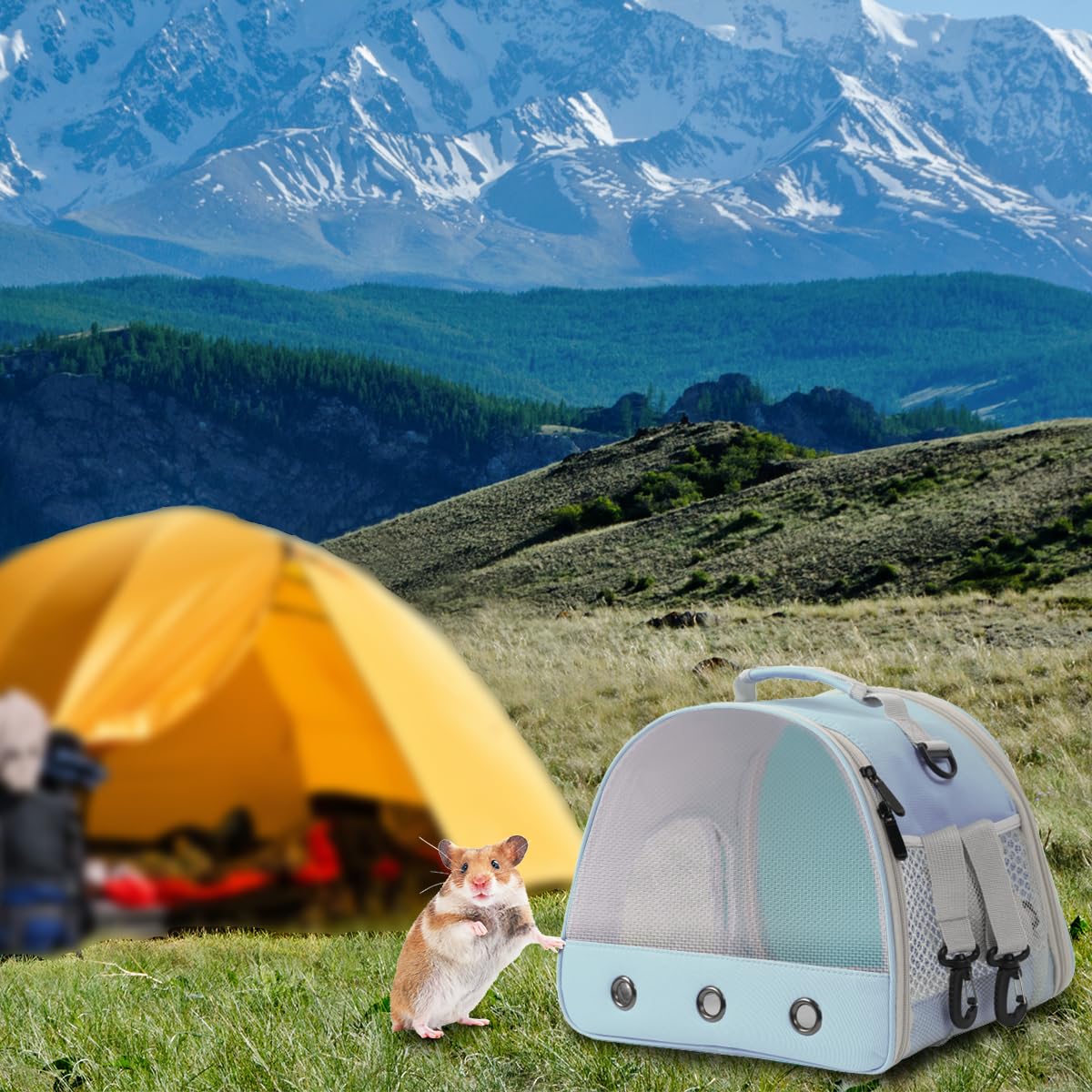 Breathable Small Animal Carrier Nylon Mesh For Front Window Guinea Pig Carrier Reptile Carrier For Travel Outdoor