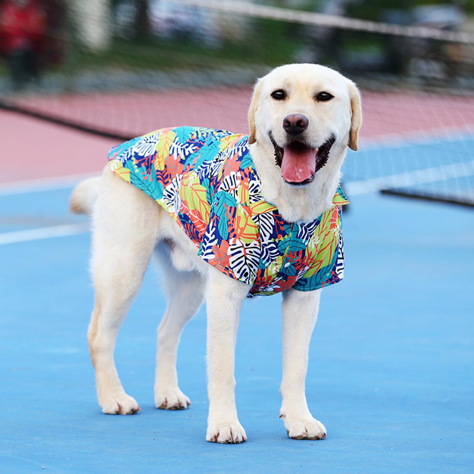 Lhyz Park Hawaiian Beach Print Pet Dog Cat T-Shirts Cute For Small To Medium Dog Cats Cool Summer Vest Camp Shirt Clothes (Orang