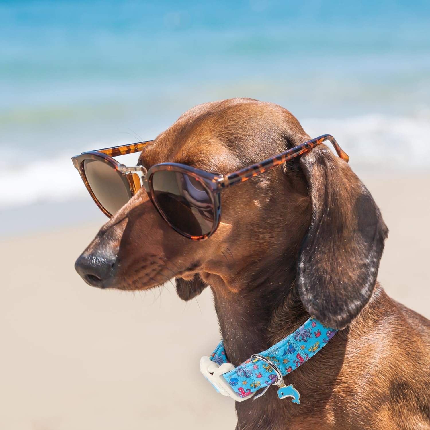 Maca Bates Cute Octopus Dog Collar Sea Blue Beach Puppy Collars Durable Adjustable Durable Nautical Fish Birthday Gift For Xs Sm