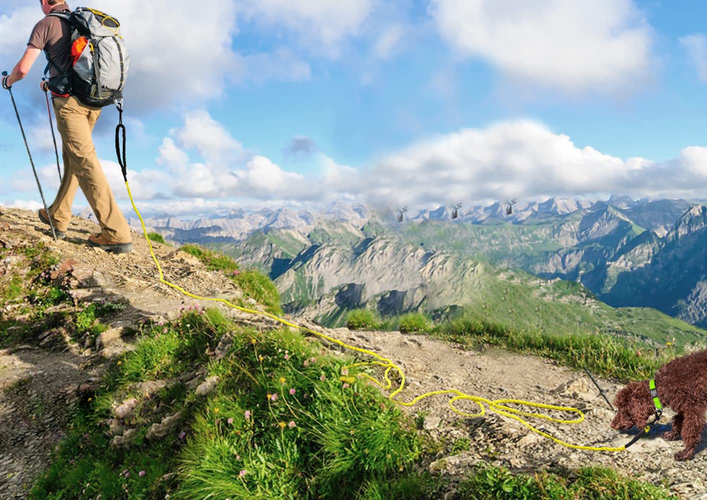 Joytale Long Dog Training Leash, 50 Ft Tie Out Rope Check Cord Dogs Leashes With Padded Handle, Reflective Recall Lead For Puppy And Small Dogs, Yellow