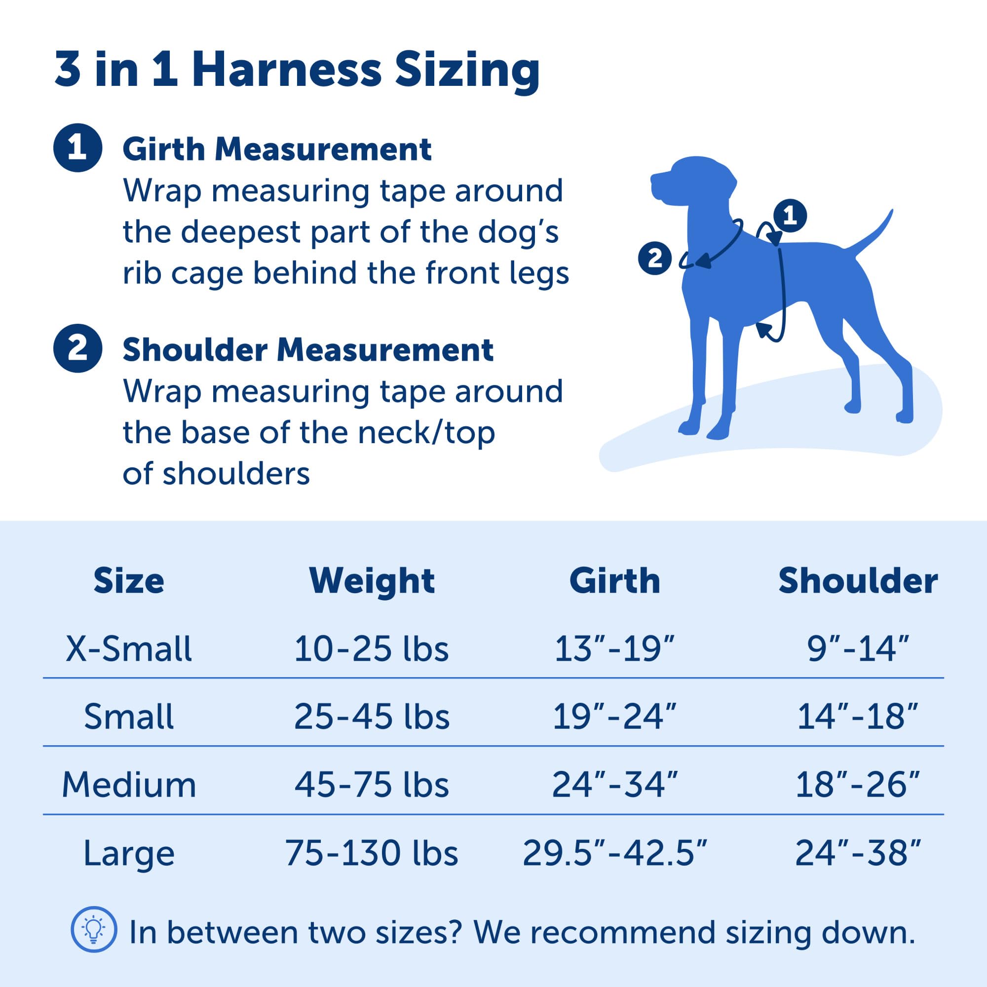 Petsafe 3 In 1 Dog Harness - No Pull Solution For Dogs - Reflective Dog Harness - Front D-Ring Clip Helps Stop Pulling - Comfortable Padded Straps - Top Handle Enhances Control - Teal - Extra Small