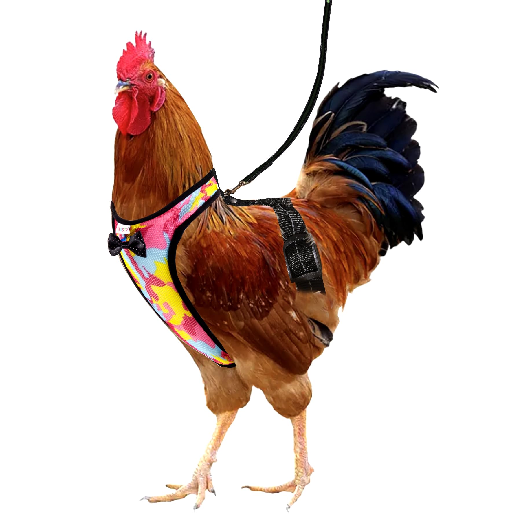 Yesito Chicken Harness Hen Camouflage Pink Size with 5.8ft Matching Leash - Adjustable, Resilient, Comfortable, Breathable (Larg