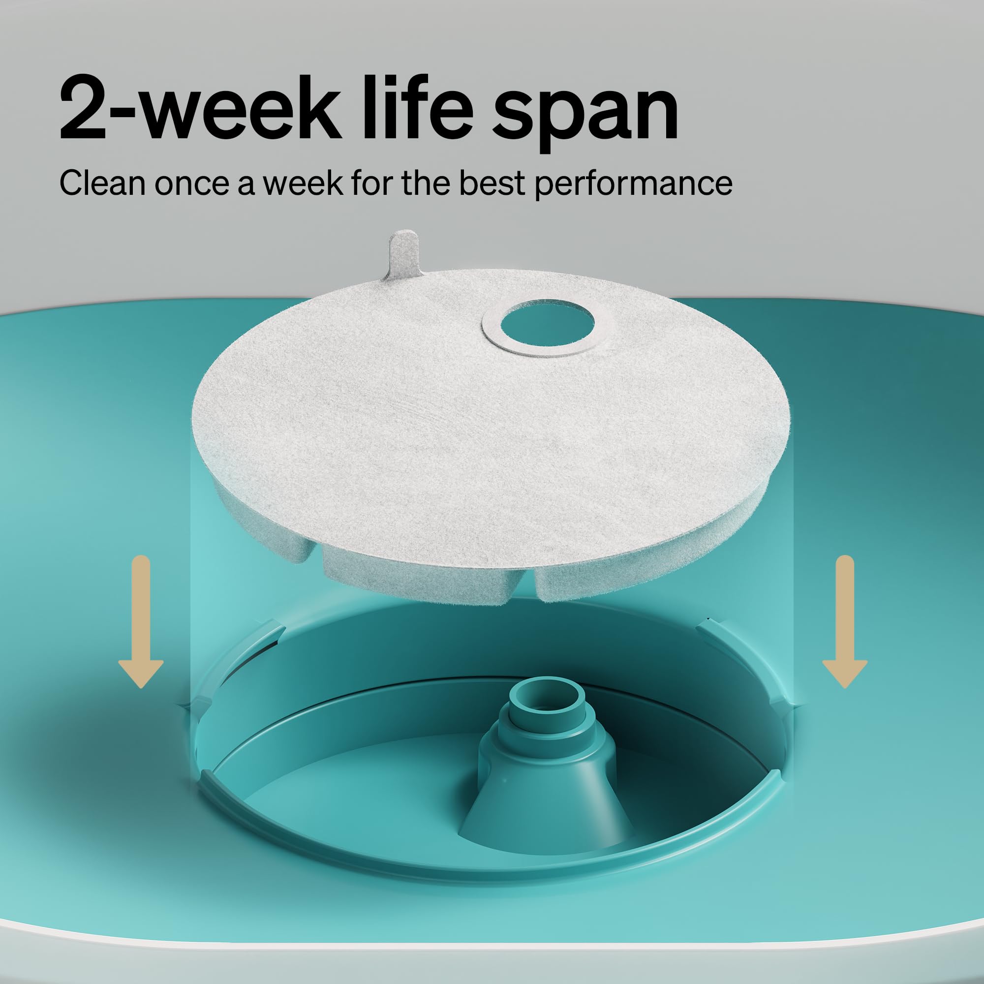 Petlibro Replacement Filters For Capsule Dog Fountain Plwf008, 2 Month Set Of Filters For Dog Water Dispensers, 4 Count Pack, Wh